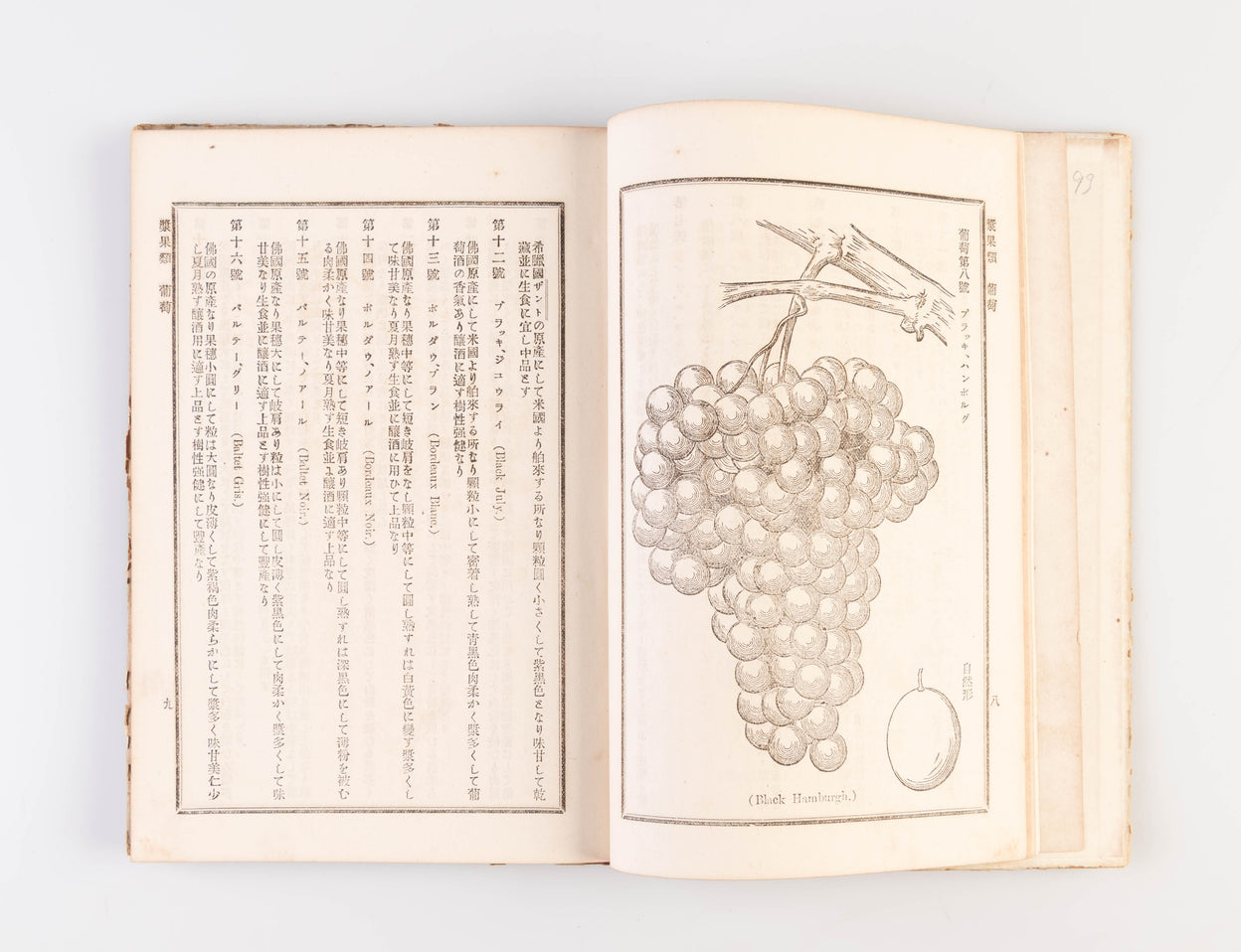 Hakurai kaju yoran [Handbook of Foreign Fruits].