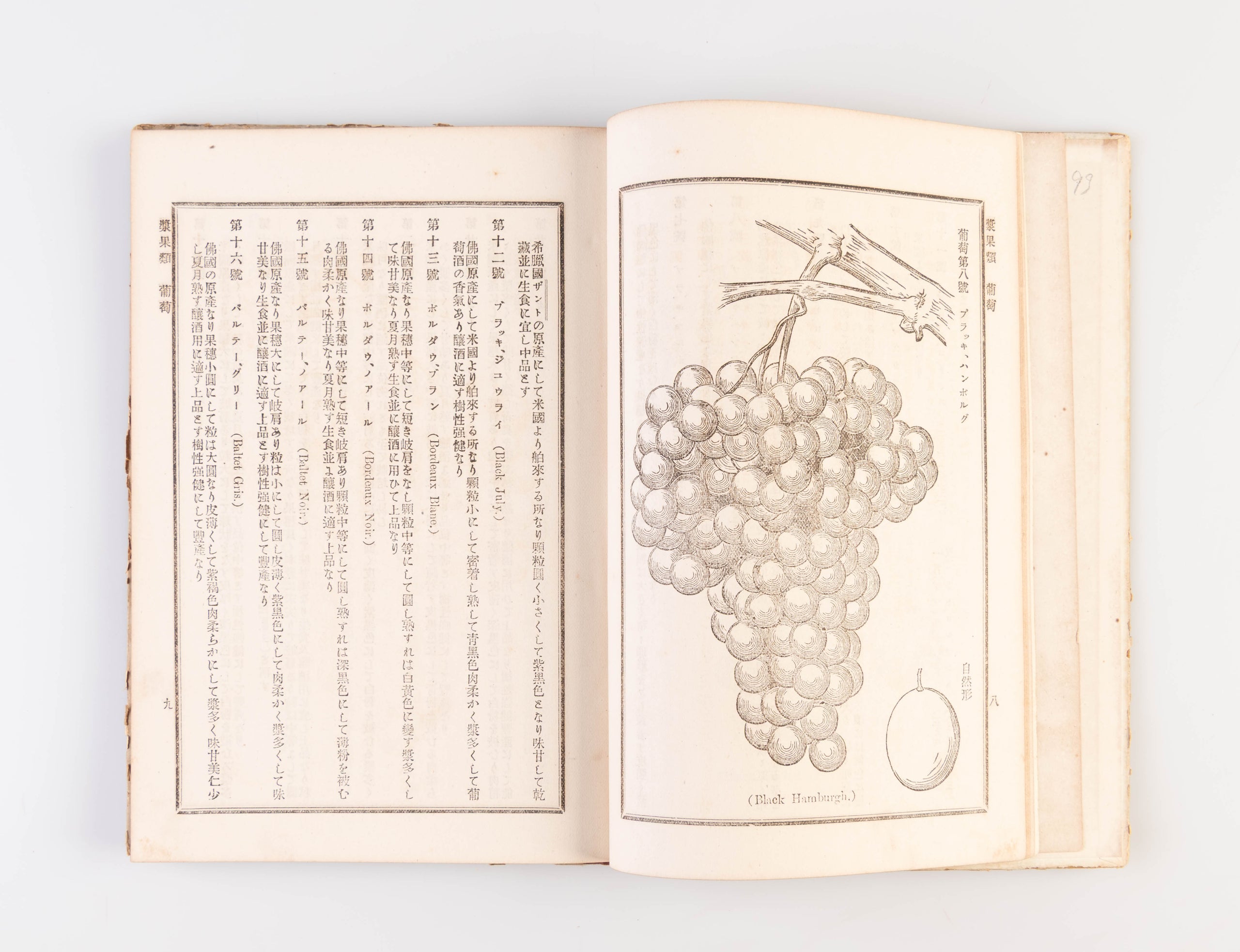 Hakurai kaju yoran [Handbook of Foreign Fruits].