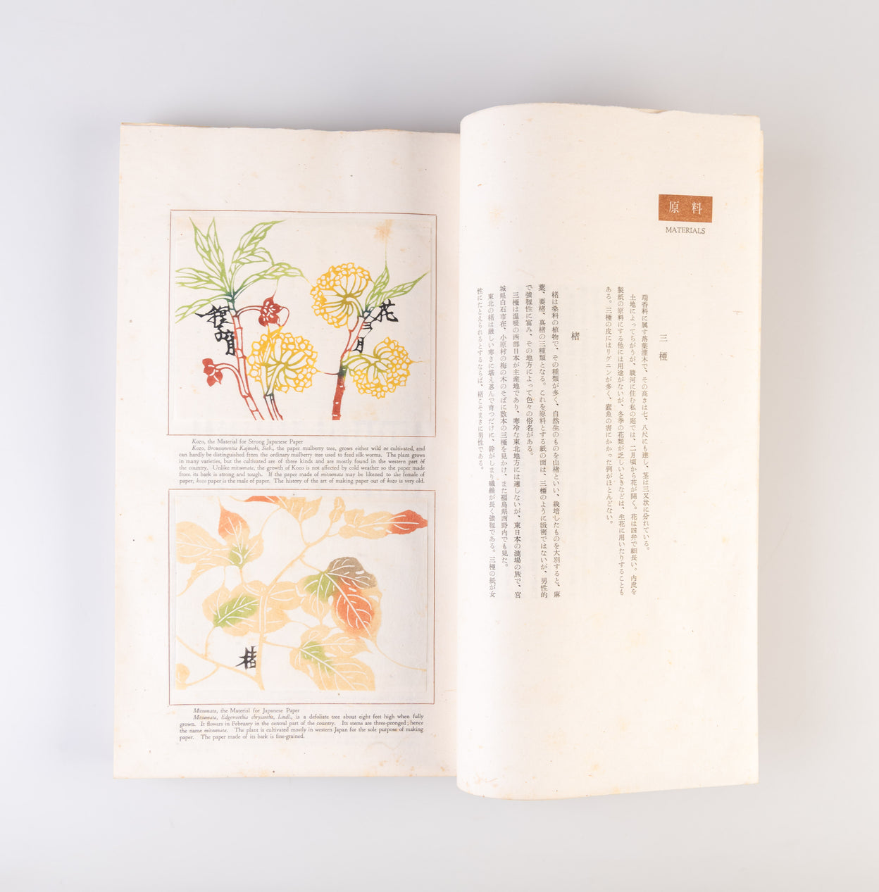 Nihon no kami: higashi nihon • nishi nihon [Japanese paper: Eastern and Western Japan]