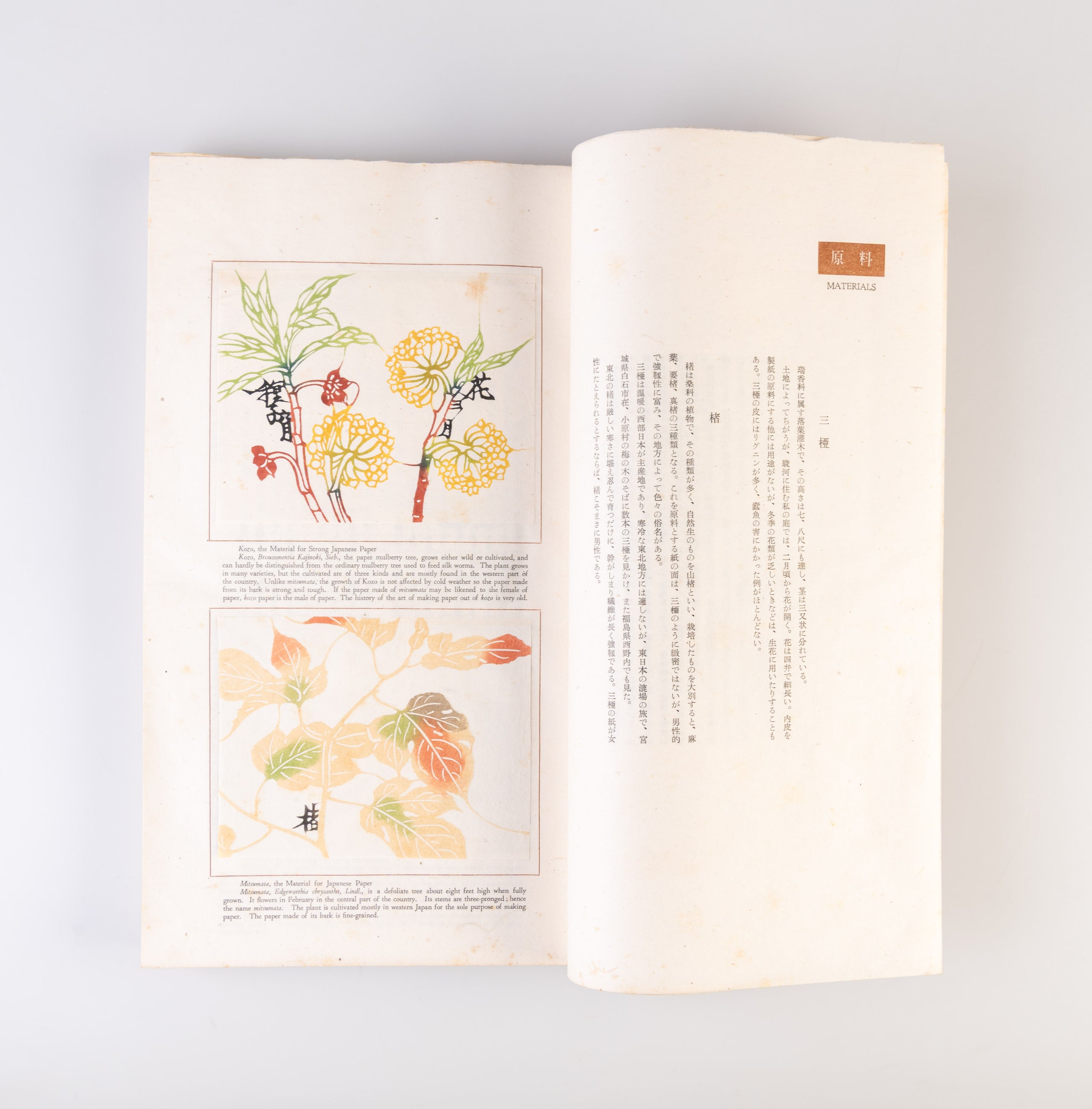 Nihon no kami: higashi nihon • nishi nihon [Japanese paper: Eastern and Western Japan]