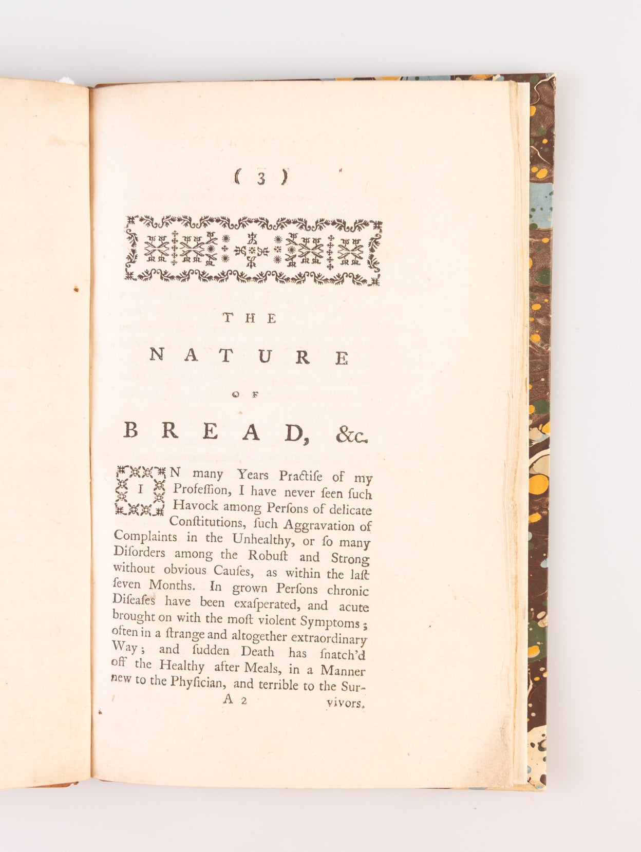 The Nature of Bread, Honestly and Dishonestly Made;