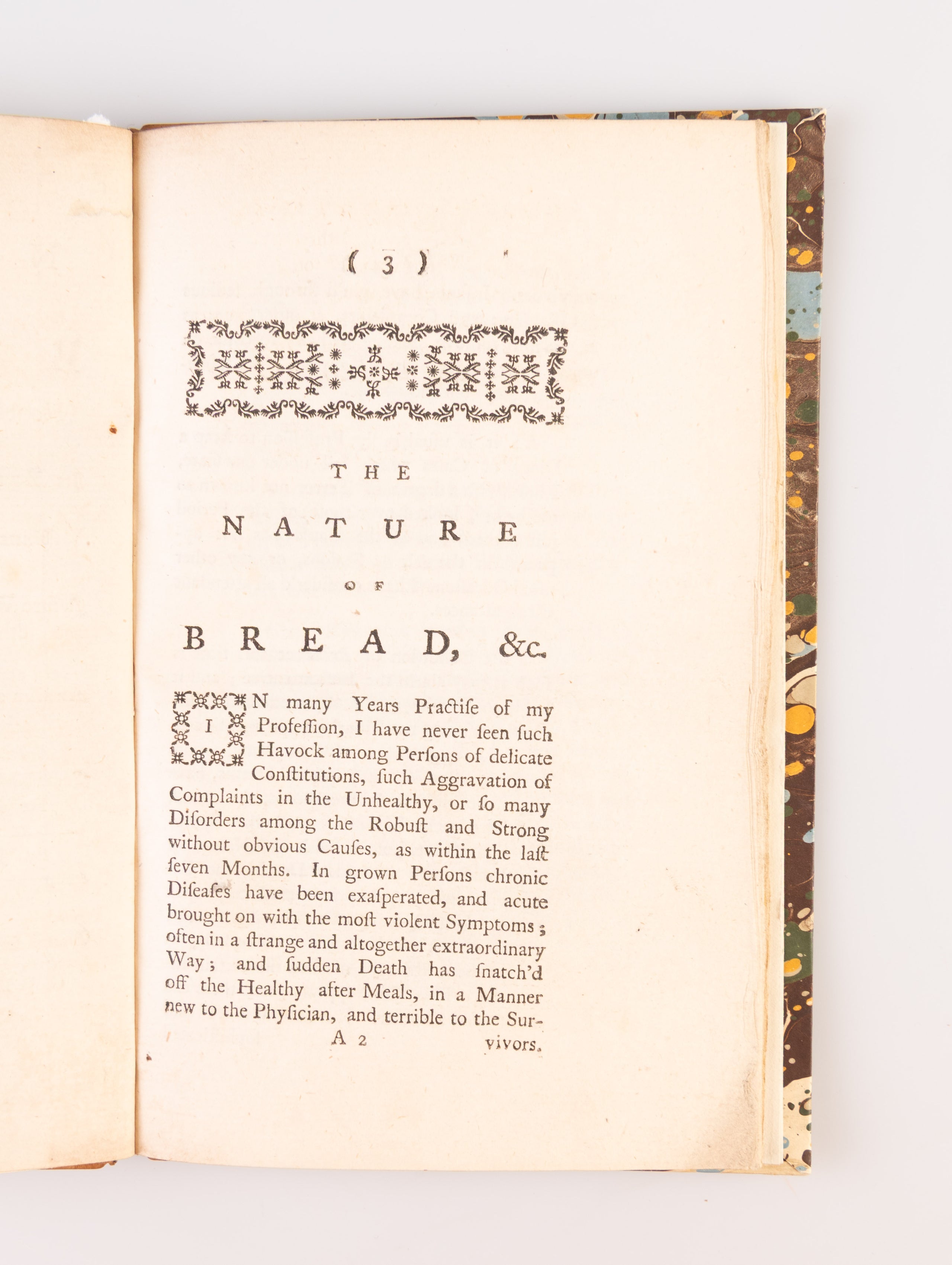 The Nature of Bread, Honestly and Dishonestly Made;