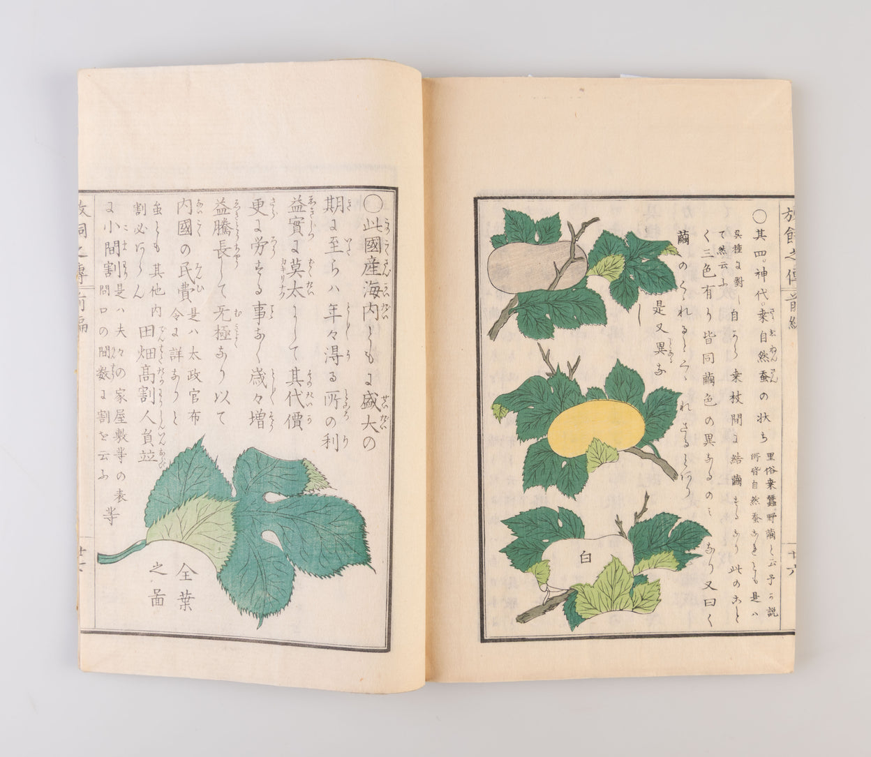Jindai goshu kaiko hanachigai no den [Ancient Traditions of Sericulture].