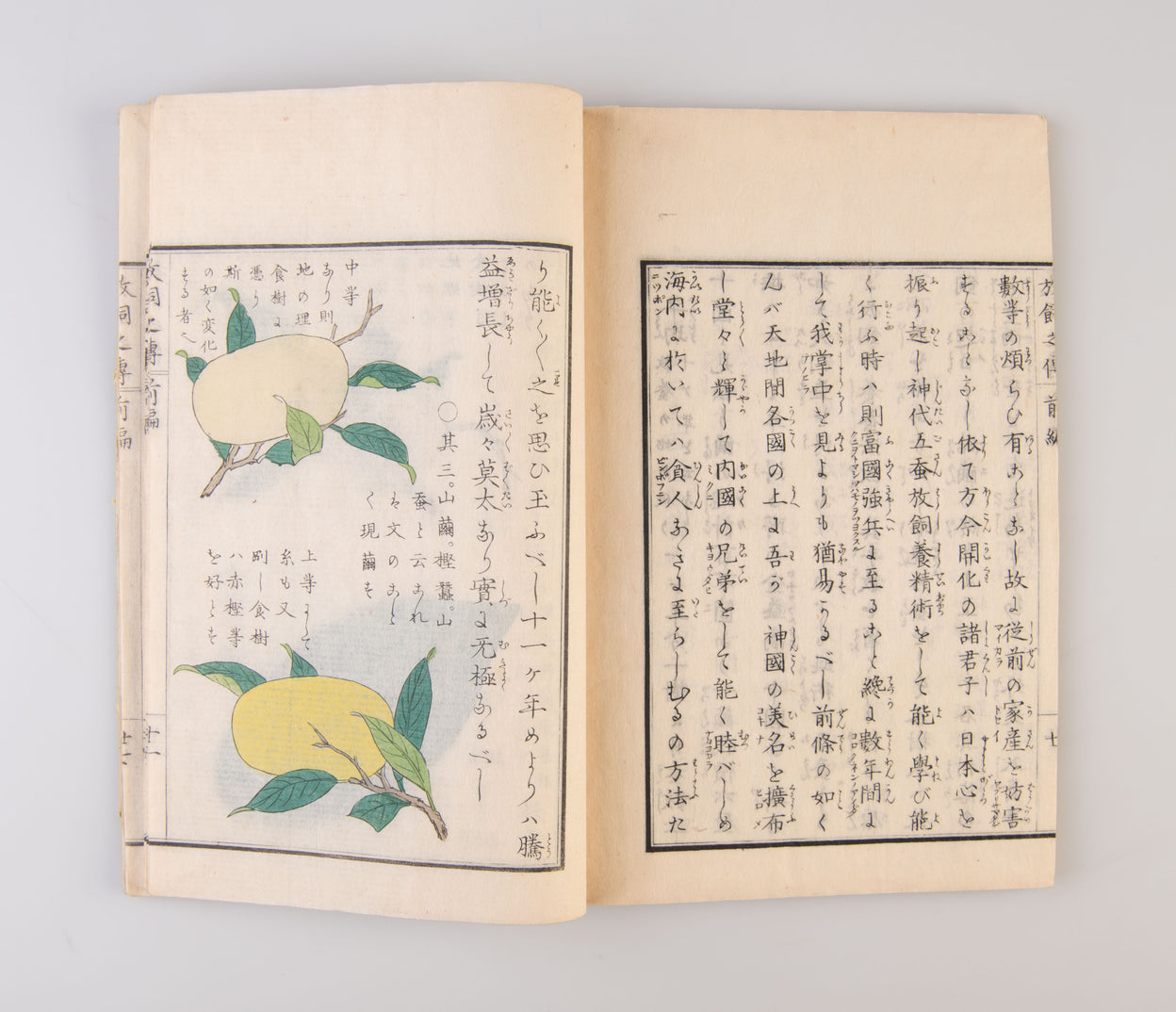 Jindai goshu kaiko hanachigai no den [Ancient Traditions of Sericulture].