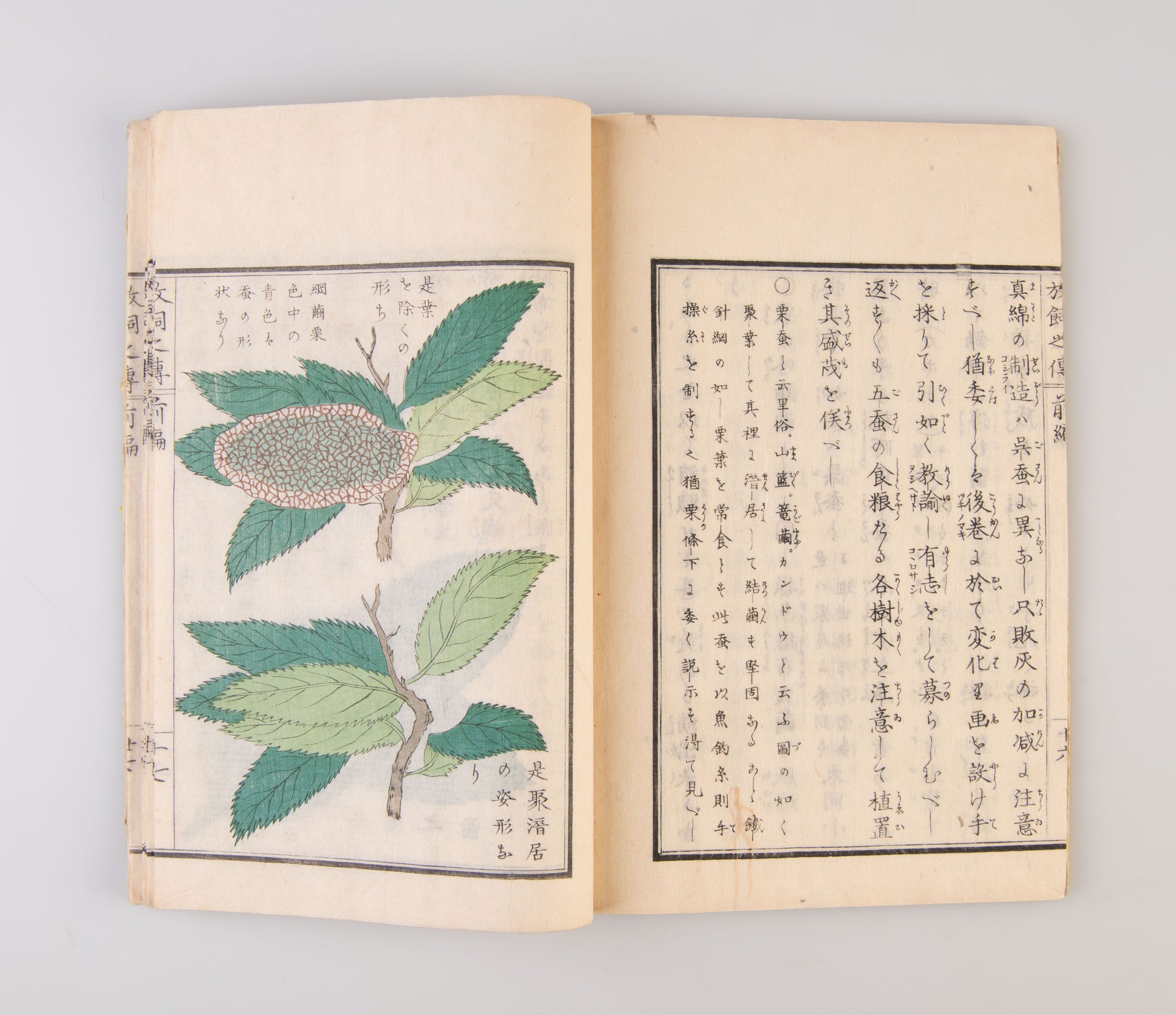 Jindai goshu kaiko hanachigai no den [Ancient Traditions of Sericulture].