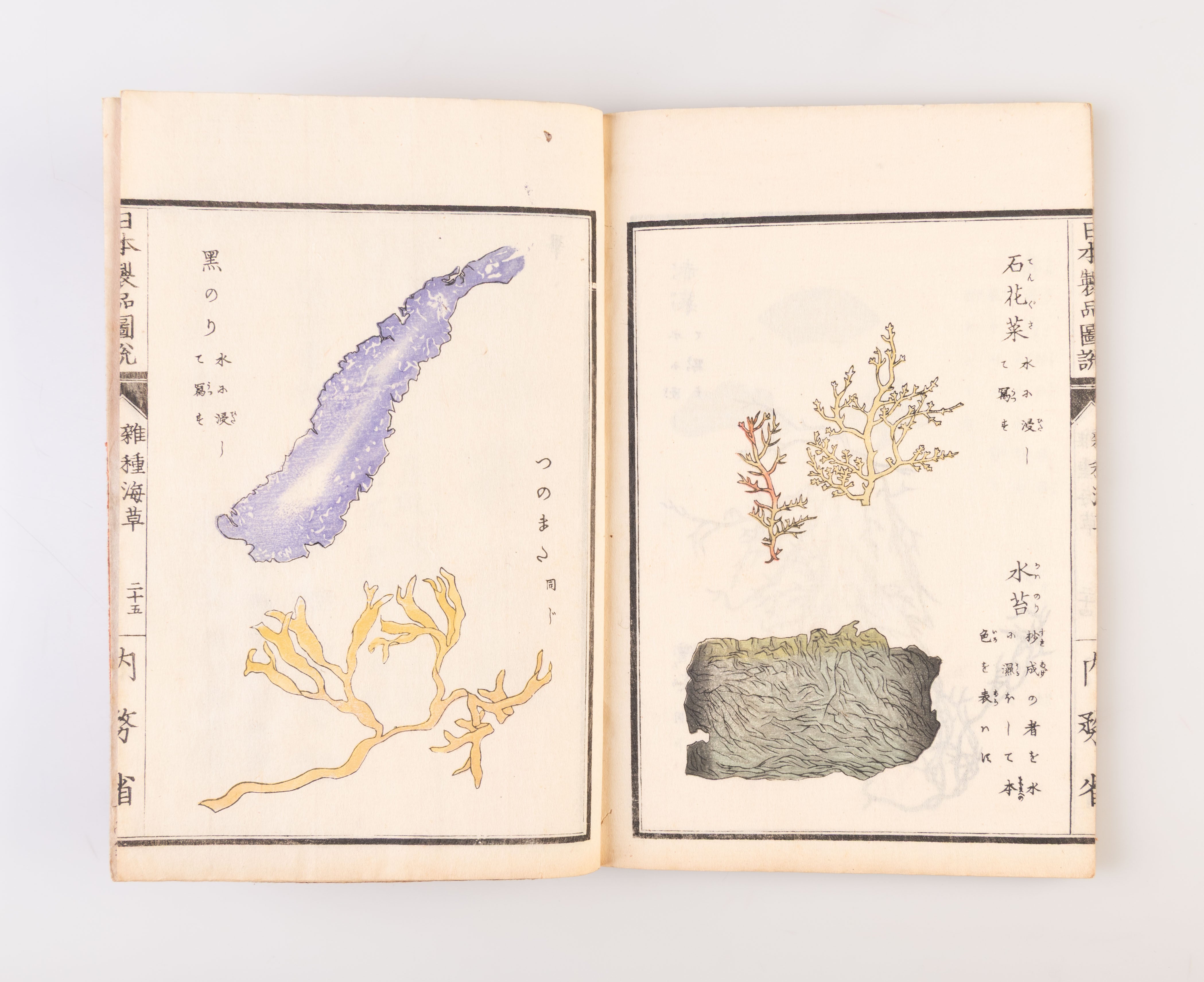 Nippon seihin zusetsu: zasshu kaiso  [Illustrated Products of… 1899.