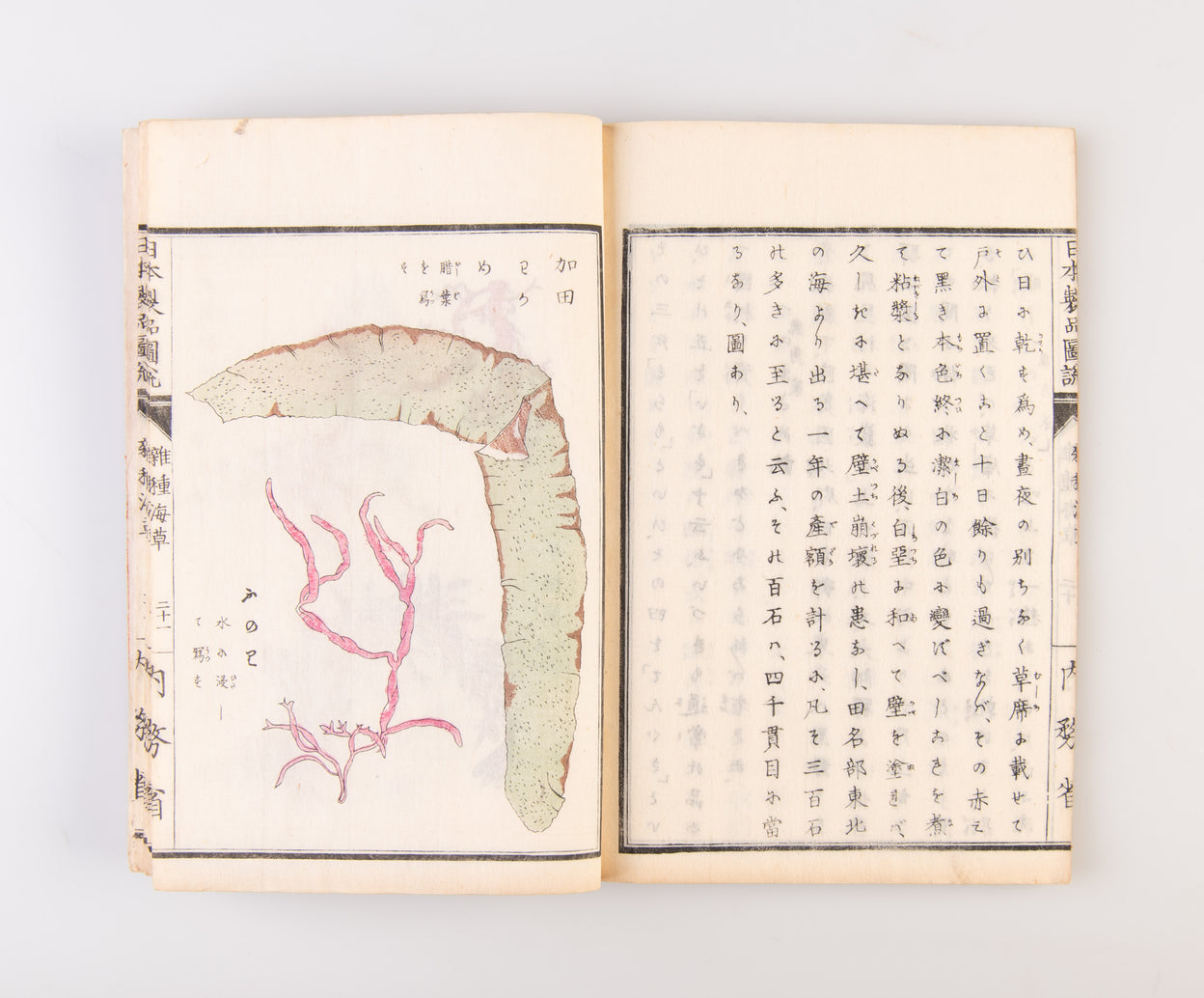 Nippon seihin zusetsu: zasshu kaiso  [Illustrated Products of Japan: Hybrid Seaweeds].
