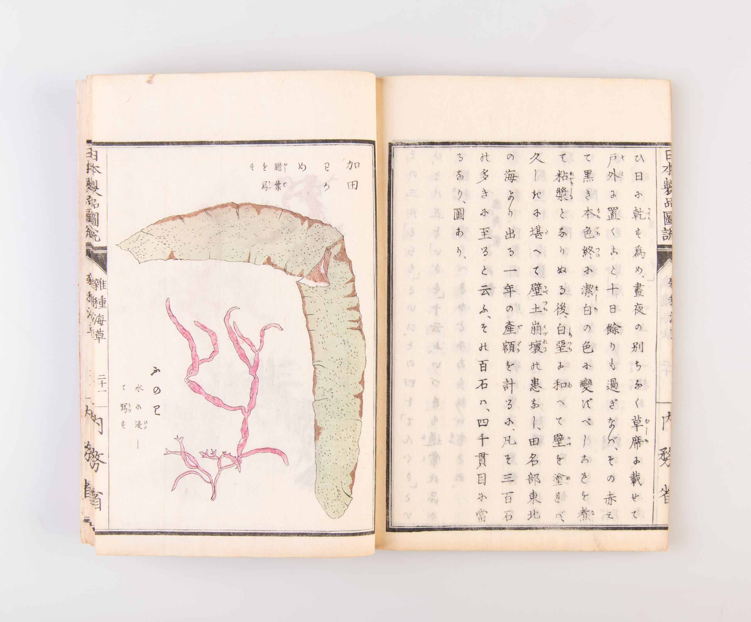 Nippon seihin zusetsu: zasshu kaiso  [Illustrated Products of Japan: Hybrid Seaweeds].