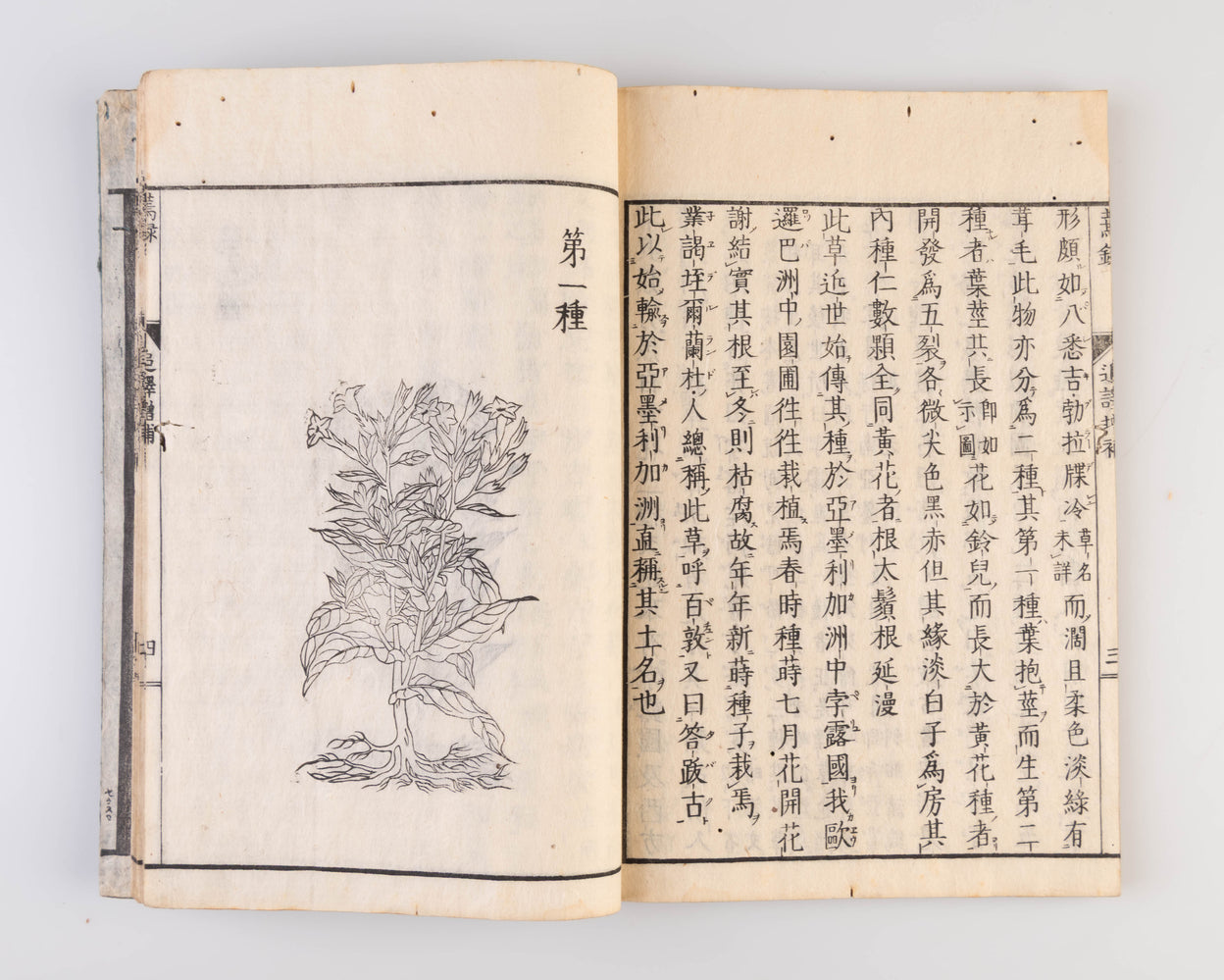 Enroku [Tobacco Record].