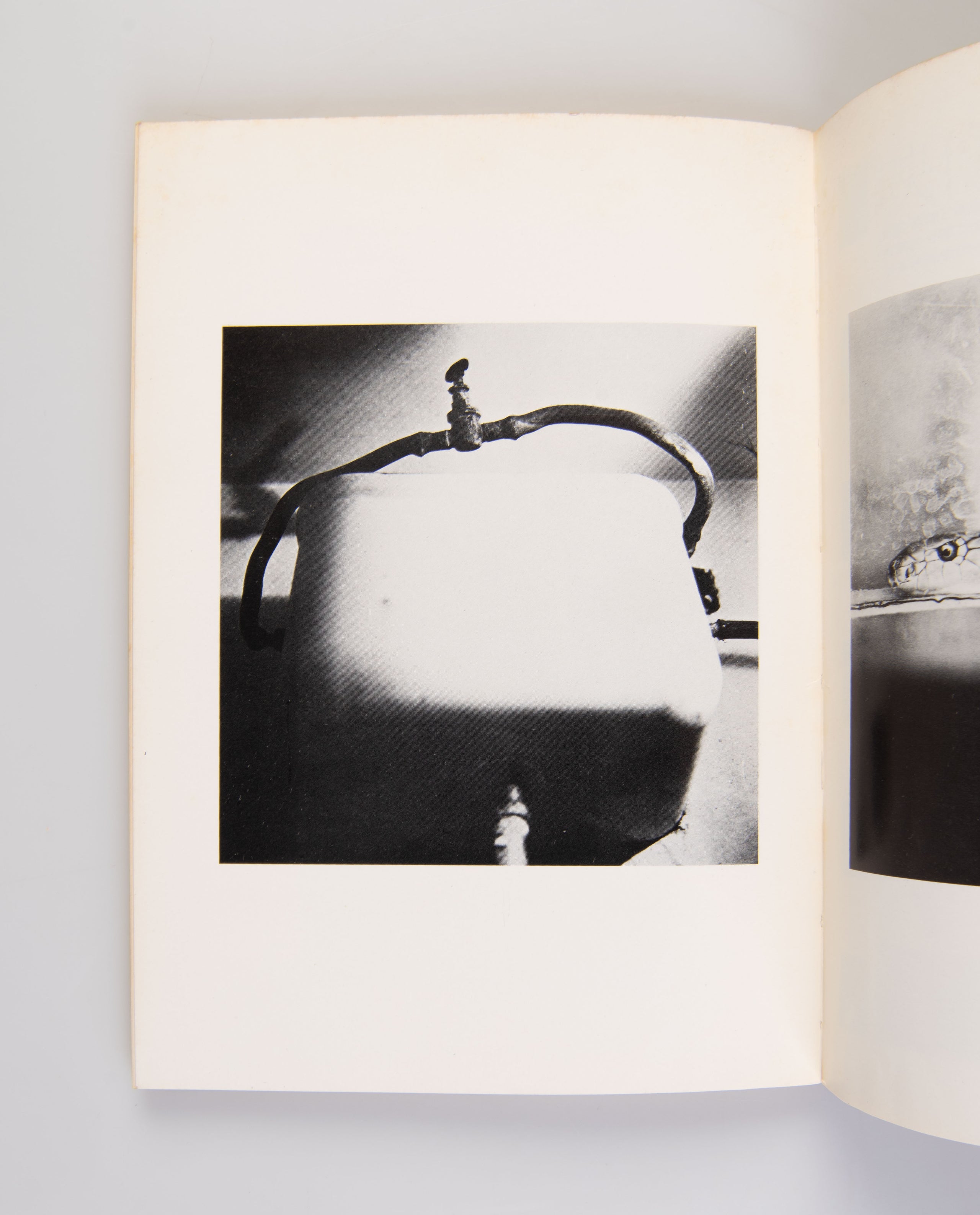 Shashin Hihyo [Photo Review].