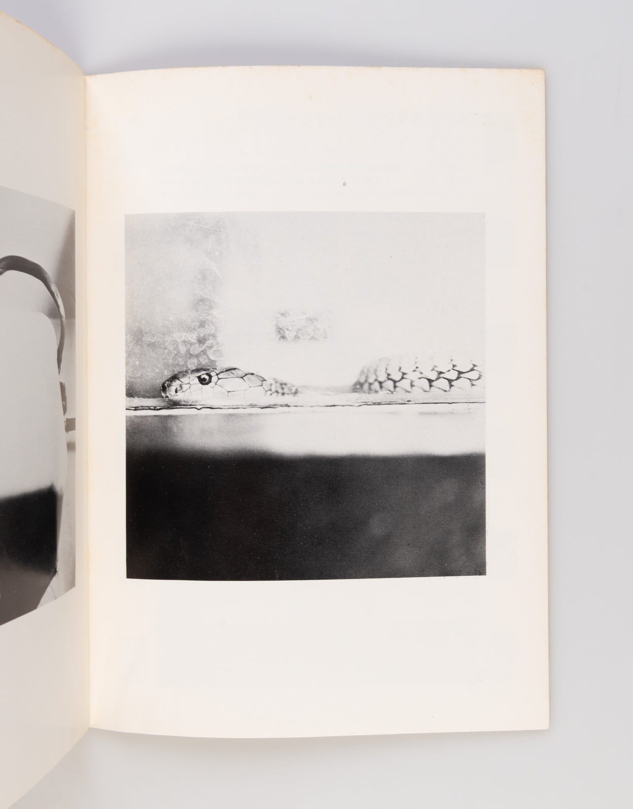 Shashin Hihyo [Photo Review].