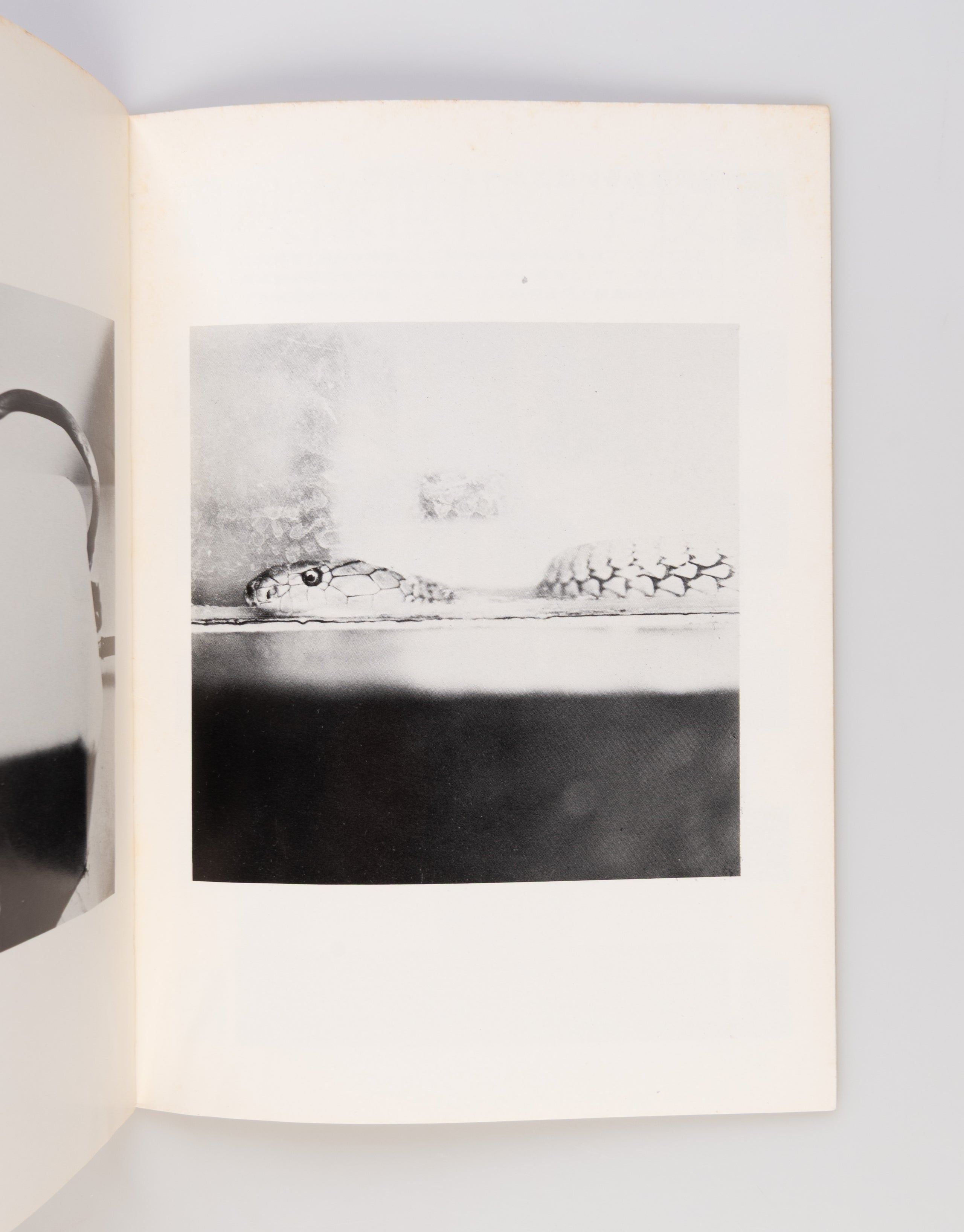 Shashin Hihyo [Photo Review].