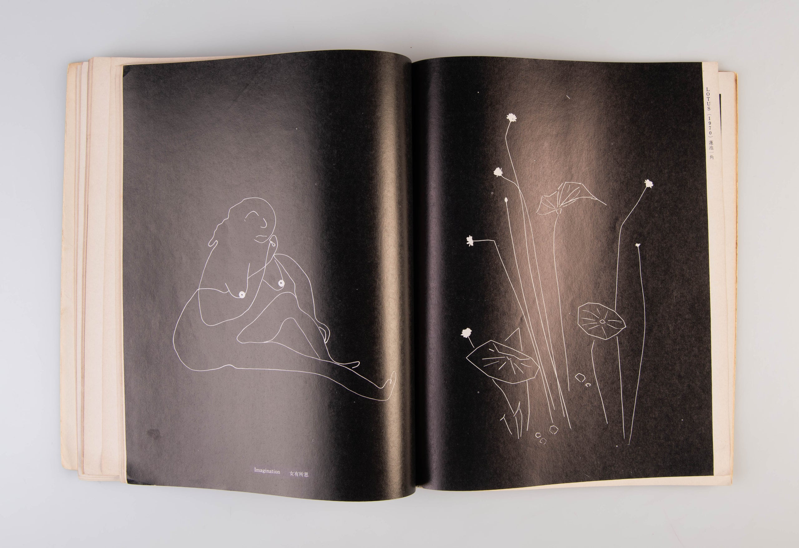 Lang Jing Shan - Photographic Works of Chin-San Long.