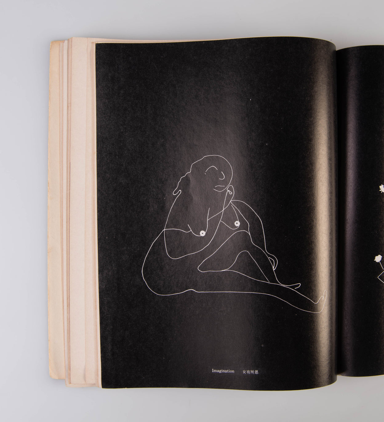 Lang Jing Shan - Photographic Works of Chin-San Long.