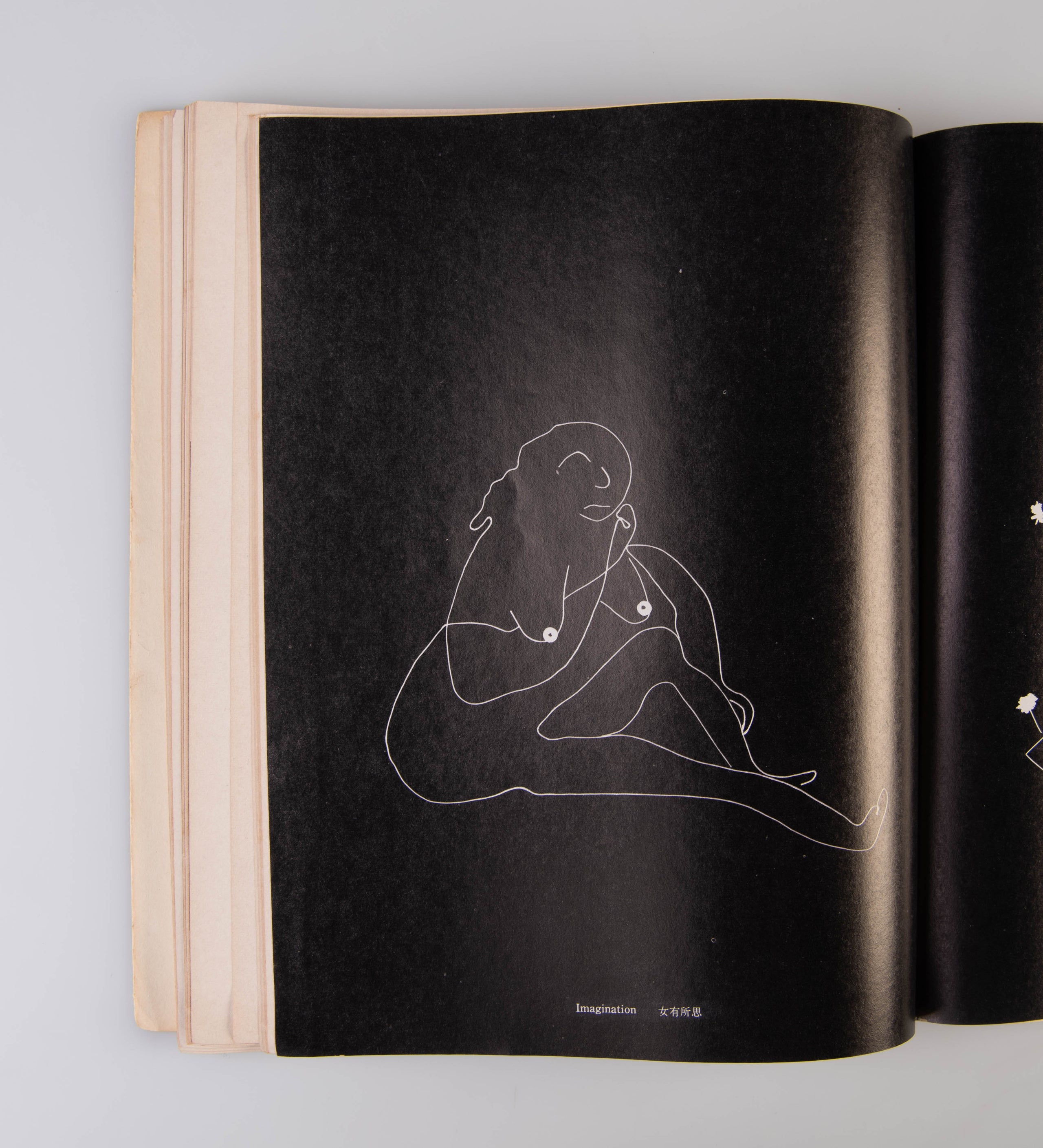 Lang Jing Shan - Photographic Works of Chin-San Long.