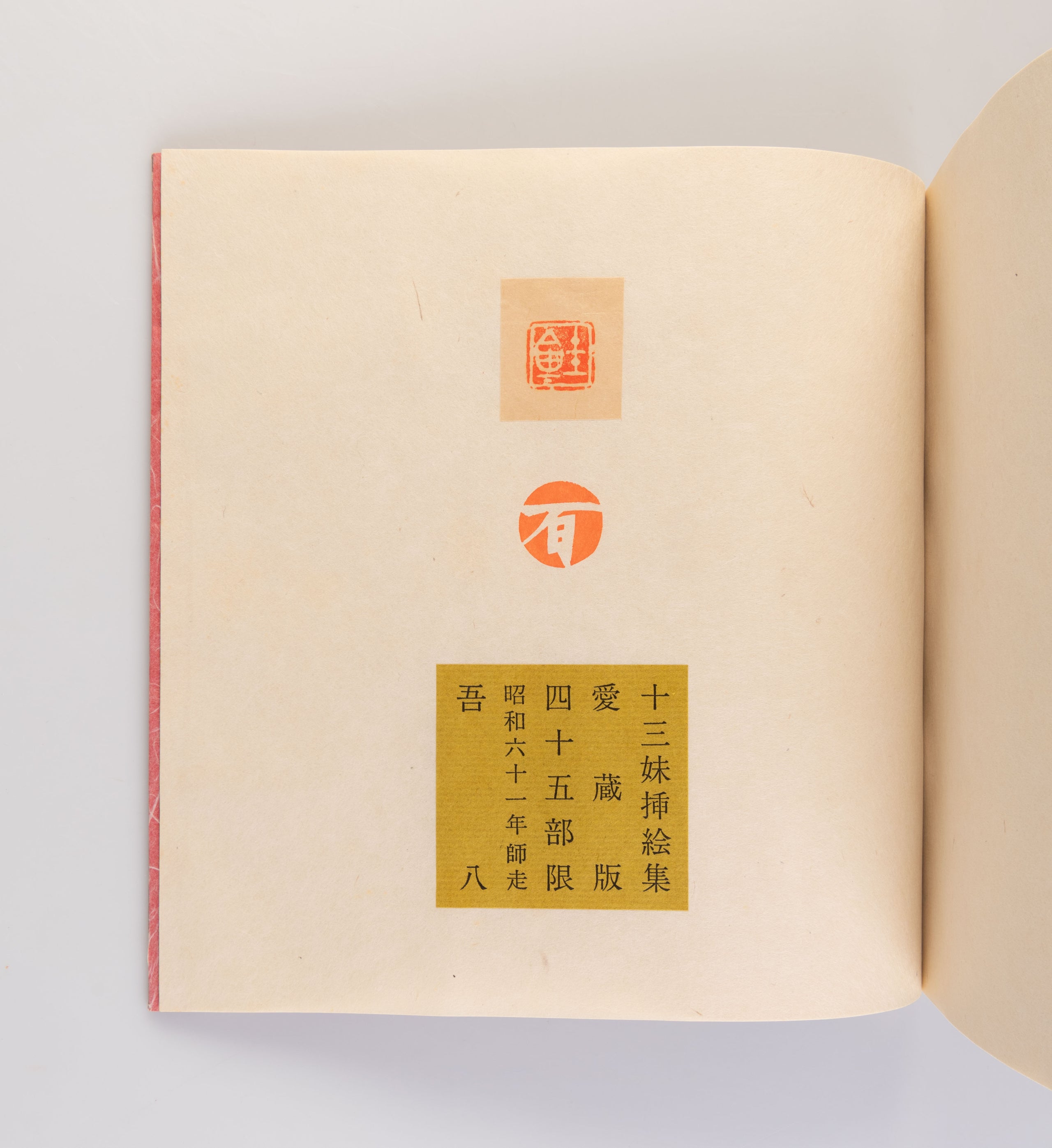 Chugoku ninja-den: Jusanmei sashi-e shu [Chinese ninja tale: Illustration Collection of Thirteenth Sister].