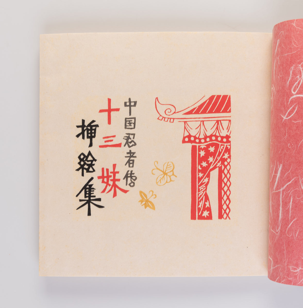 Chugoku ninja-den: Jusanmei sashi-e shu [Chinese ninja tale: Illustration Collection of Thirteenth Sister].