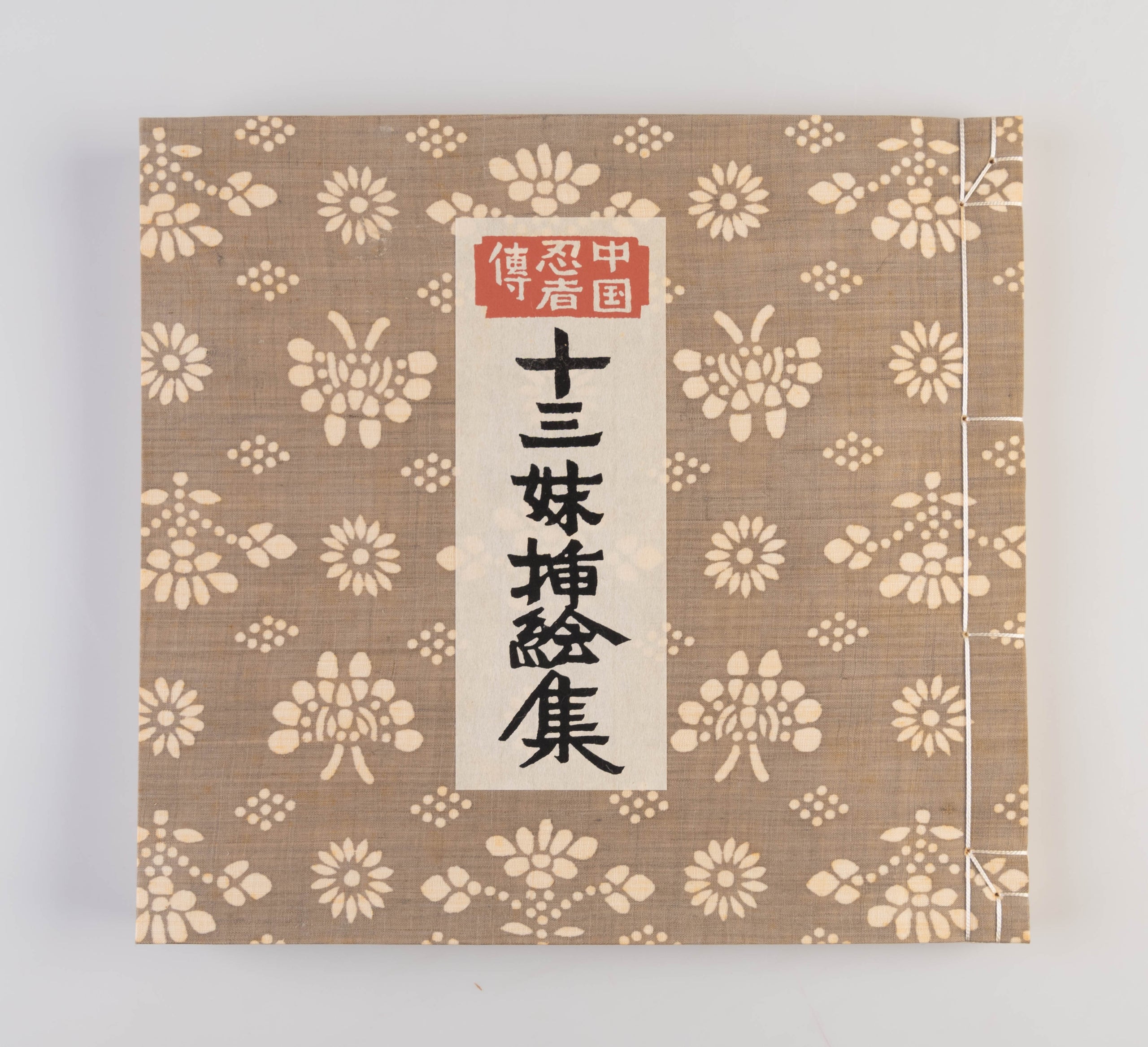 Chugoku ninja-den: Jusanmei sashi-e shu [Chinese ninja tale: Illustration Collection of Thirteenth Sister].