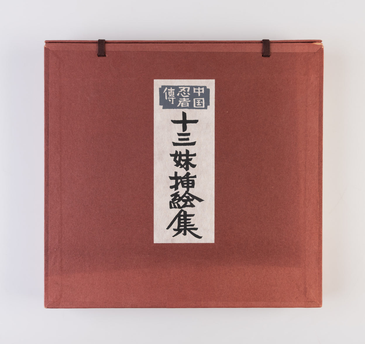 Chugoku ninja-den: Jusanmei sashi-e shu [Chinese ninja tale: Illustration Collection of Thirteenth Sister].