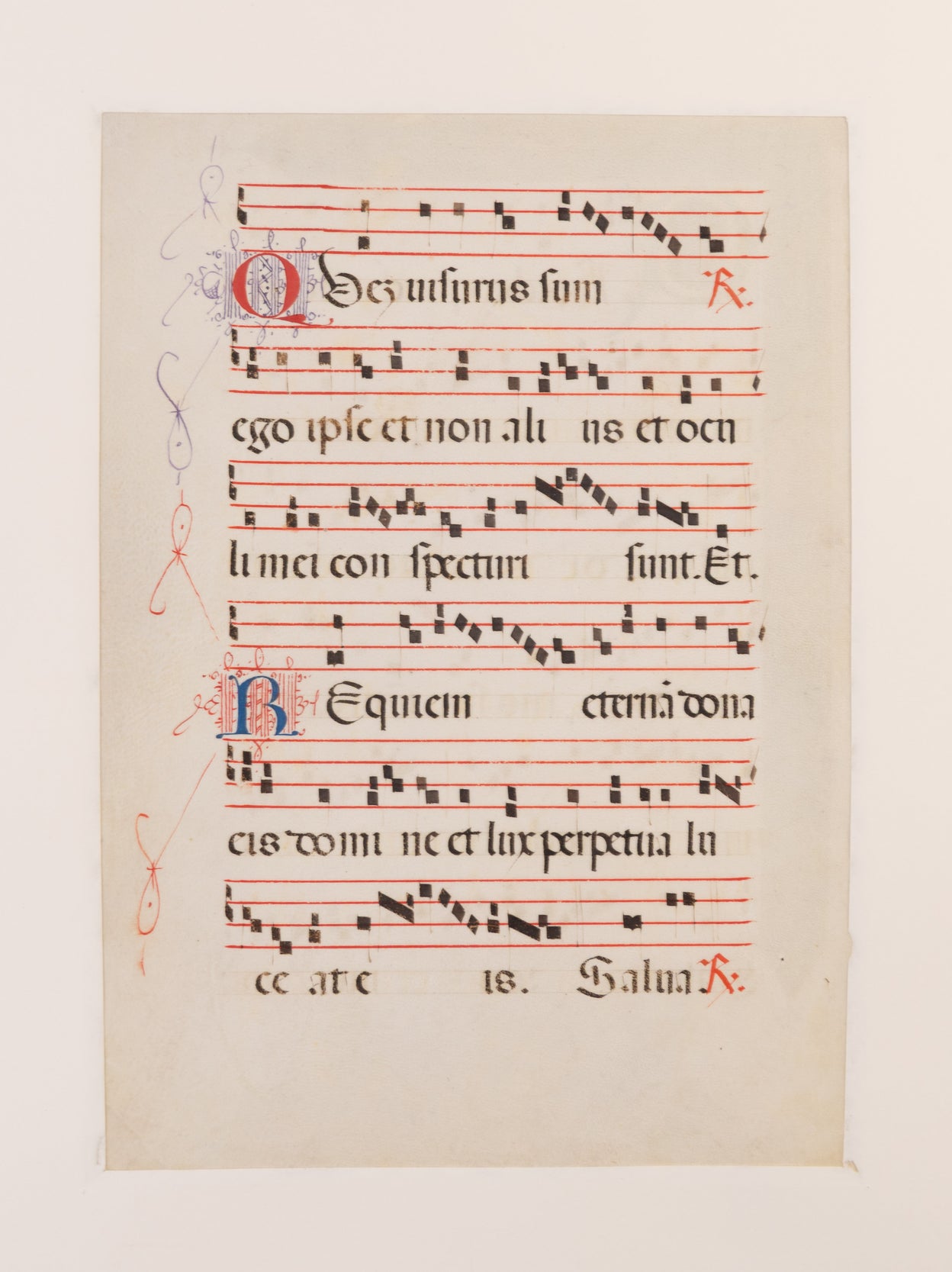 Processional leaf with historiated initial C containing skull & bone, illuminated manuscript on vellum.