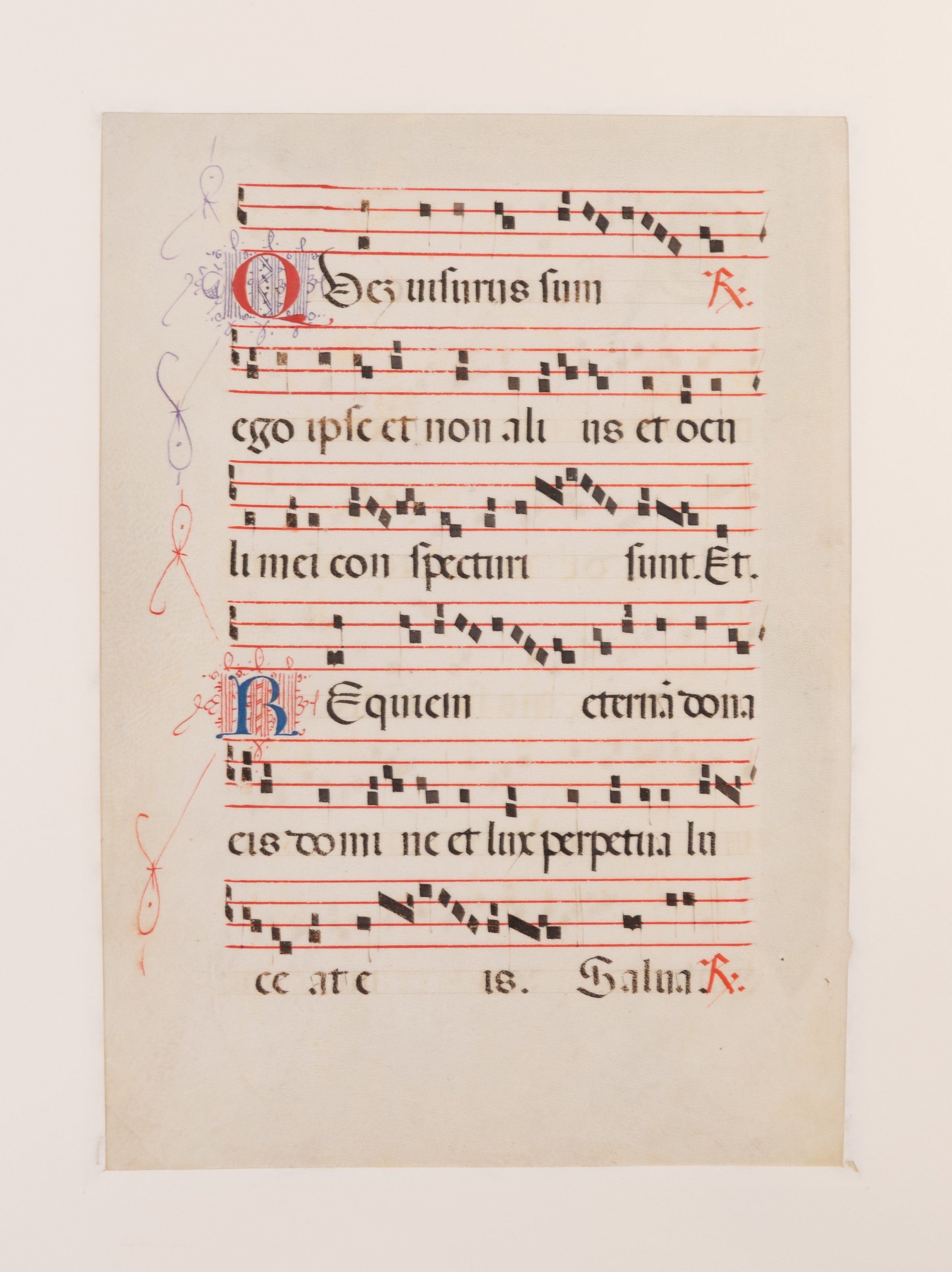 Processional leaf with historiated initial C containing skull & bone, illuminated manuscript on vellum.