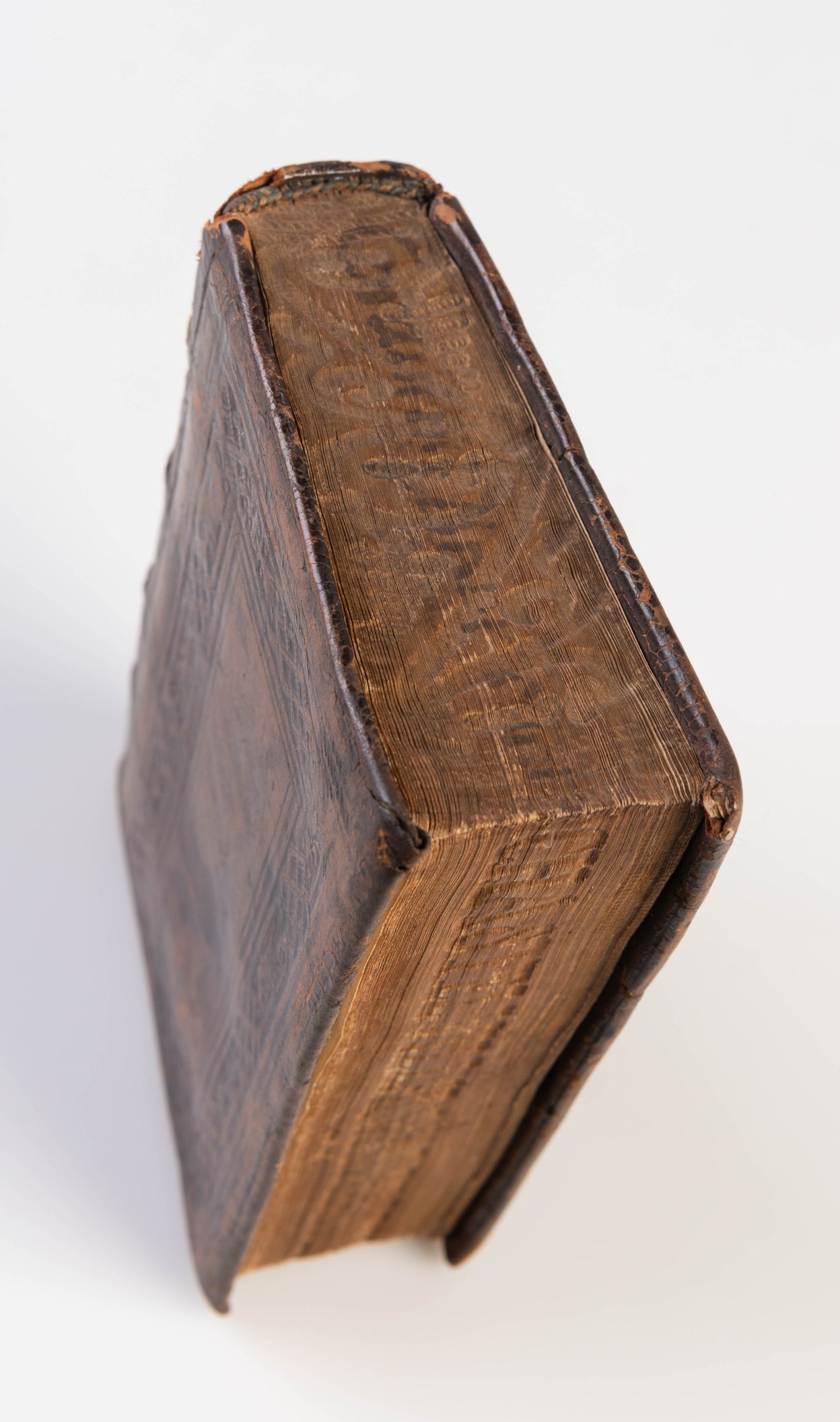 De sermone Latino, et modis Latine loquendi. Eiusdem venatio ad Ascanium cardinalem. Item iter julii. ii. Pontif. ro. Cum indice.
 
(Cologne: Hero Fuchs, October 1524)