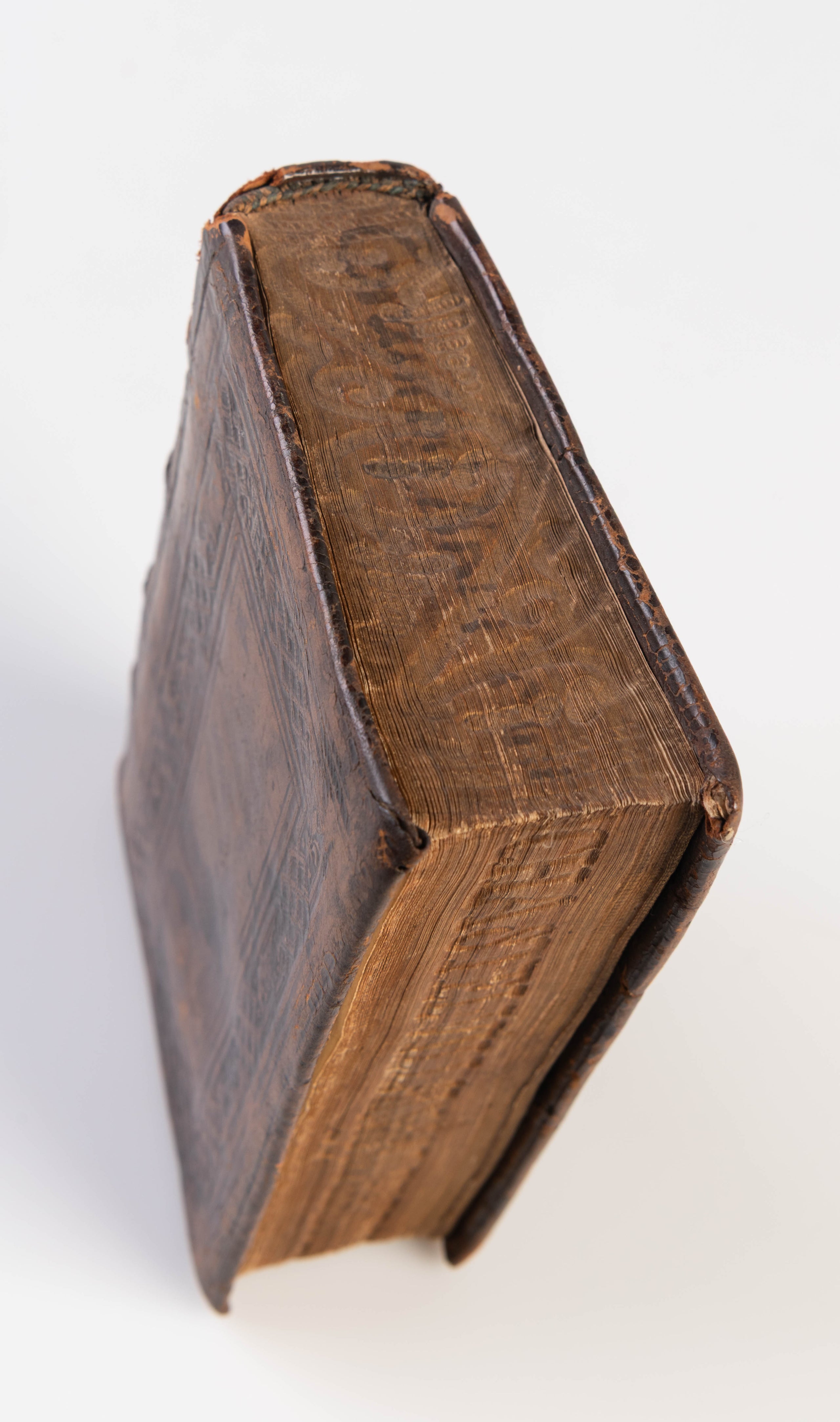 De sermone Latino, et modis Latine loquendi. Eiusdem venatio ad Ascanium cardinalem. Item iter julii. ii. Pontif. ro. Cum indice.
 
(Cologne: Hero Fuchs, October 1524)