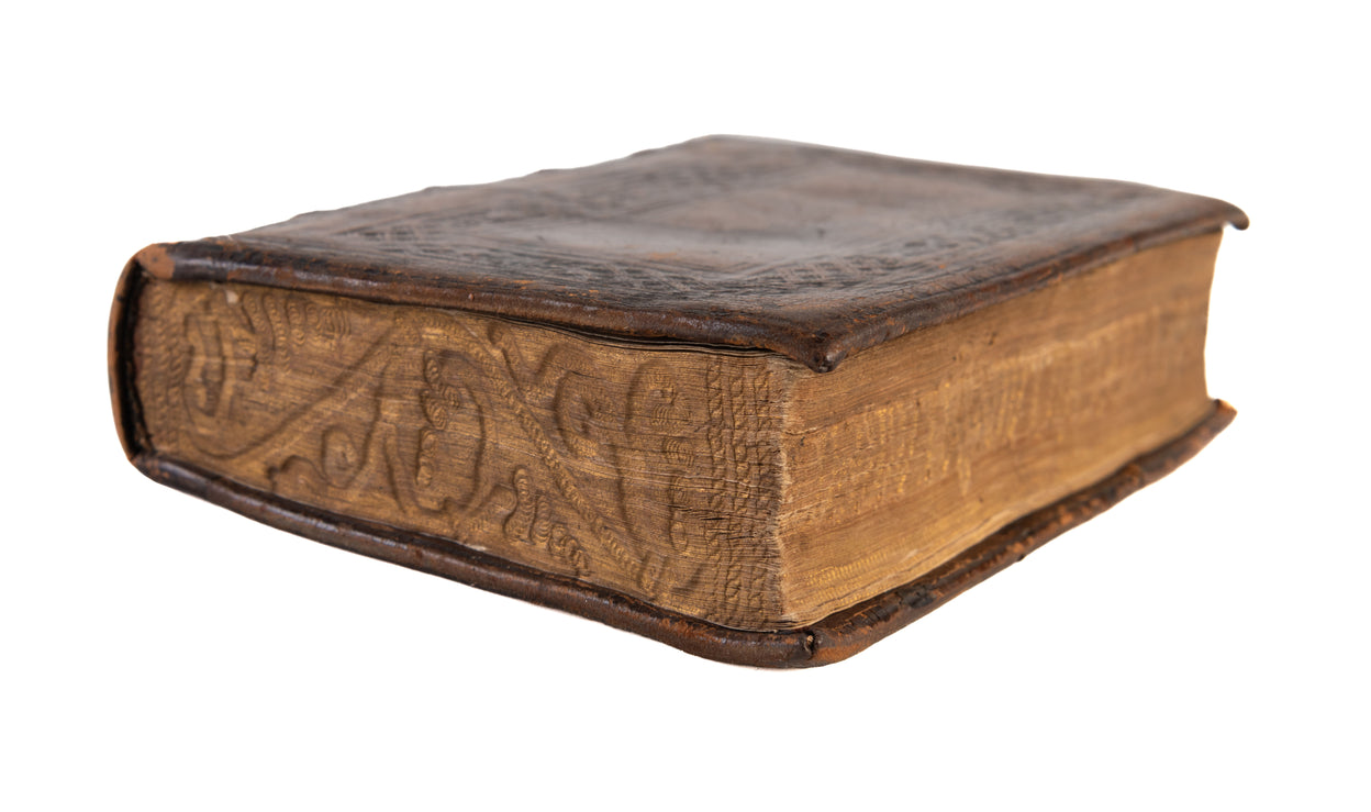 De sermone Latino, et modis Latine loquendi. Eiusdem venatio ad Ascanium cardinalem. Item iter julii. ii. Pontif. ro. Cum indice.
 
(Cologne: Hero Fuchs, October 1524)