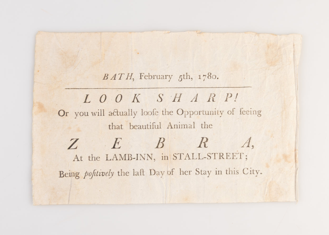 Bath, February 5th, 1780. Look Sharp! Or you will actually loose the Opportunity of seeing that beautiful Animal the Zebra,