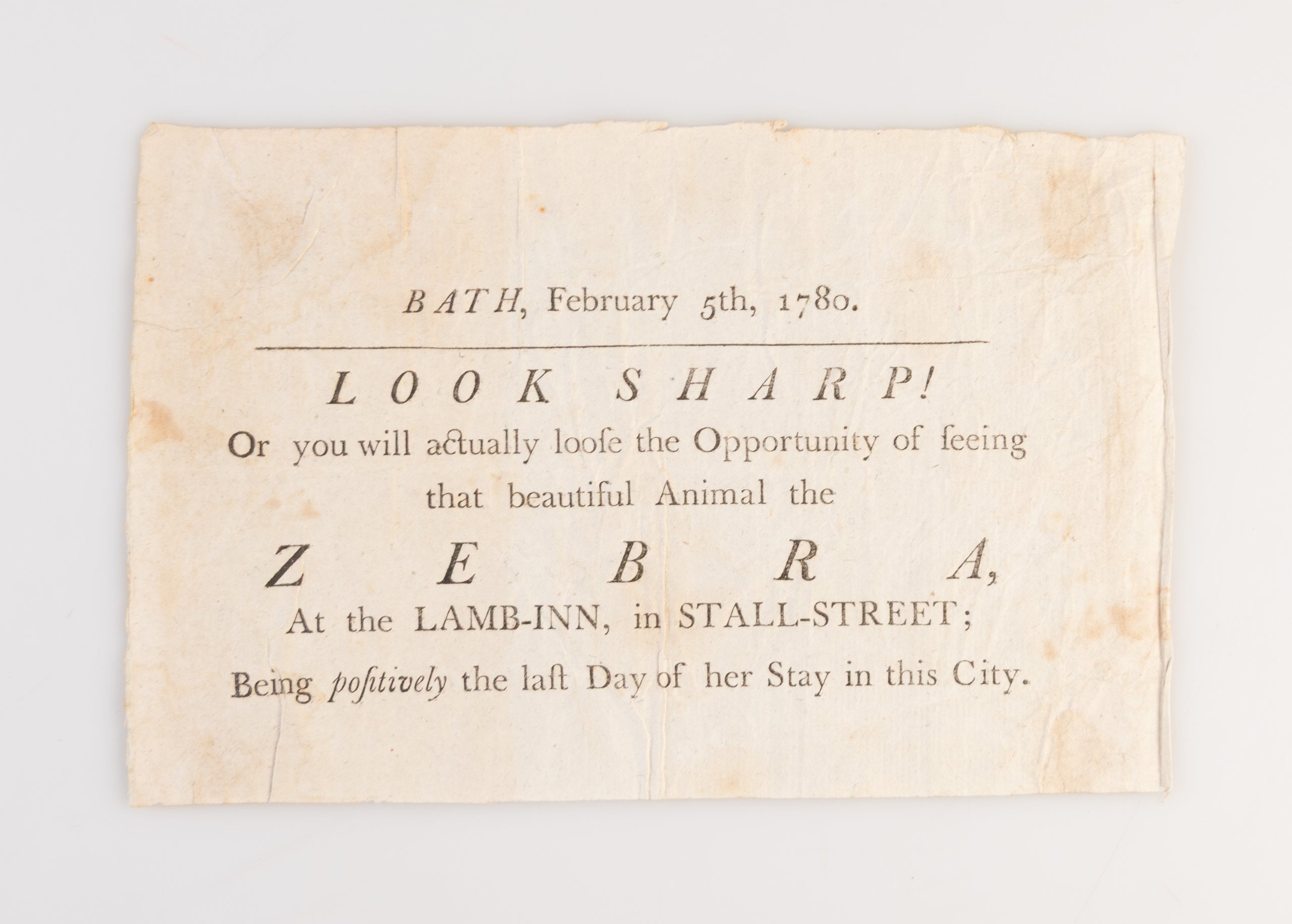 Bath, February 5th, 1780. Look Sharp! Or you will actually loose the Opportunity of seeing that beautiful Animal the Zebra,