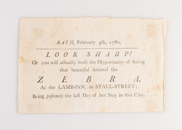 Bath, February 5th, 1780. Look Sharp! Or you will actually loose the Opportunity of seeing that beautiful Animal the Zebra,