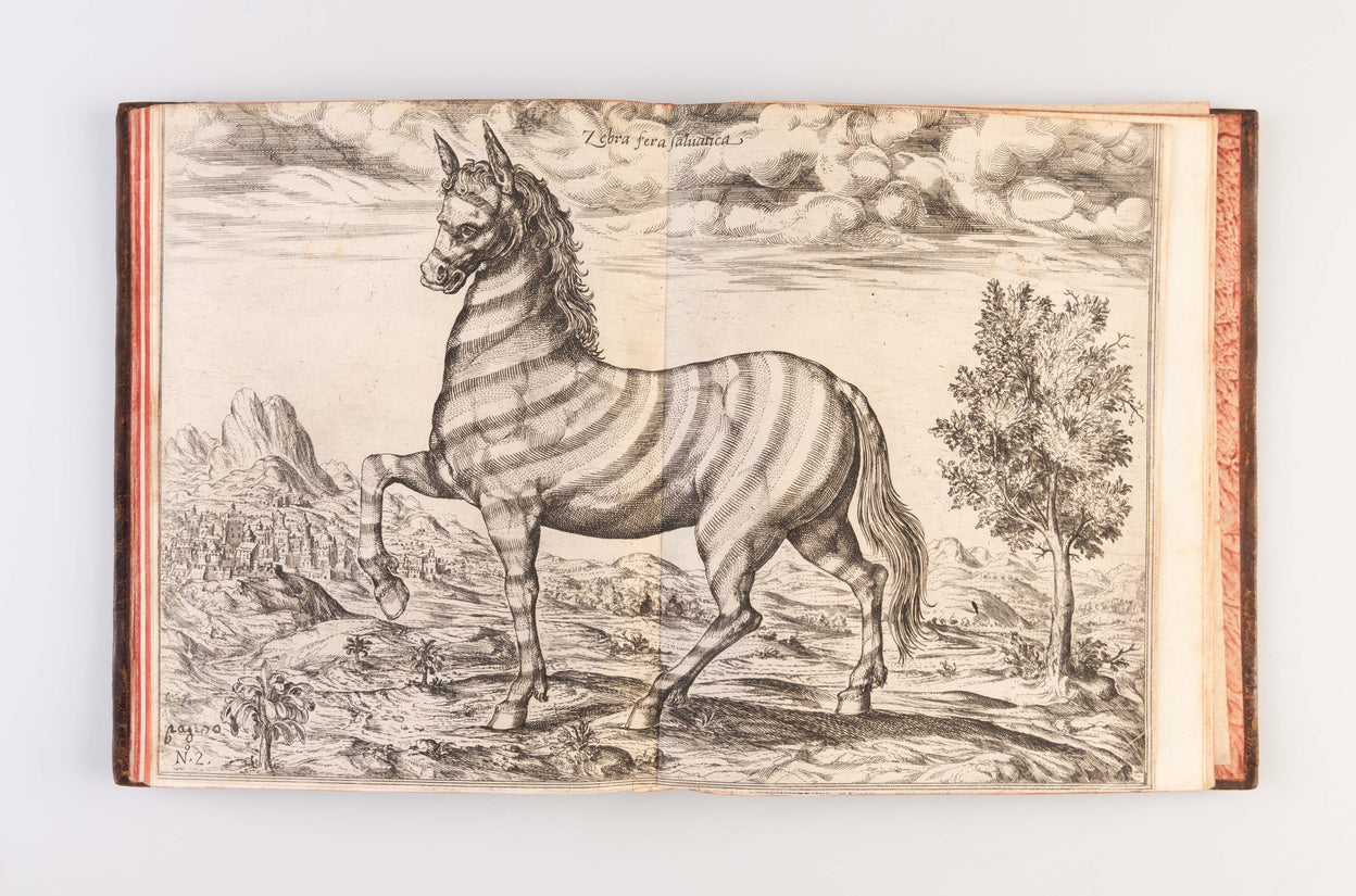 Relatione del Reame di Congo et delle Circonvicine Contrade Tratta dalli Scritti & ragionamenti di Odoardo Lopez [Duarte] Portoghese... con dissegni vari di Geografia, di piante d'habiti, d'animali & altro