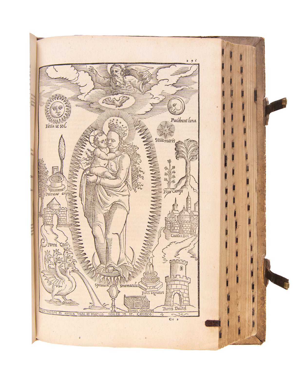 De Maria Virgine incomparabili, et dei genitrice sacrosancta, libri quinque.