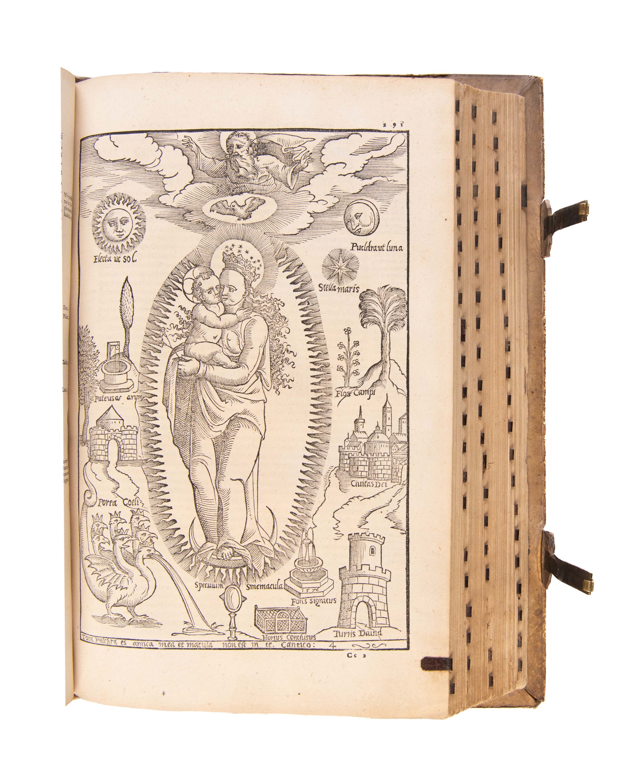 De Maria Virgine incomparabili, et dei genitrice sacrosancta, libri quinque.
