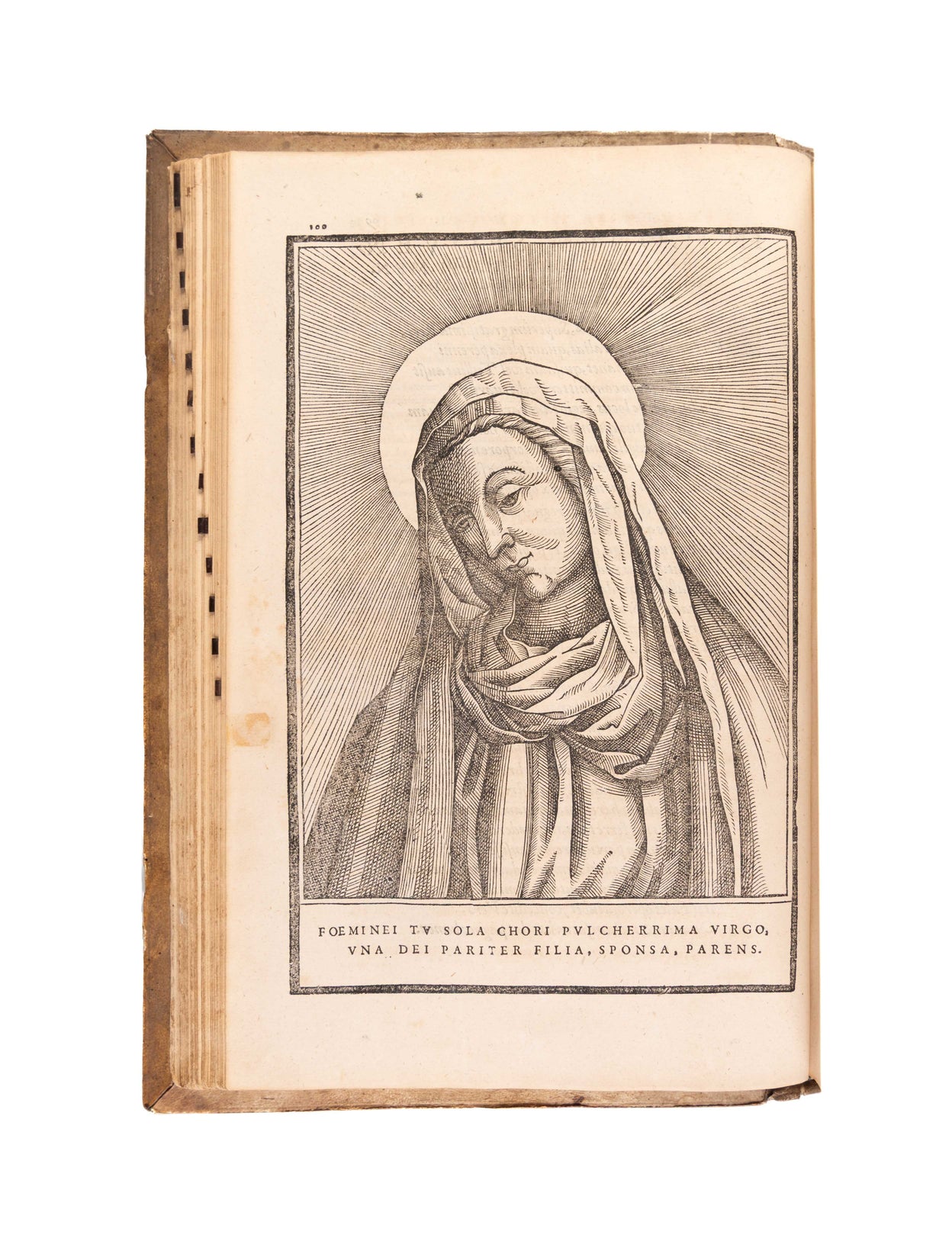 De Maria Virgine incomparabili, et dei genitrice sacrosancta, libri quinque.