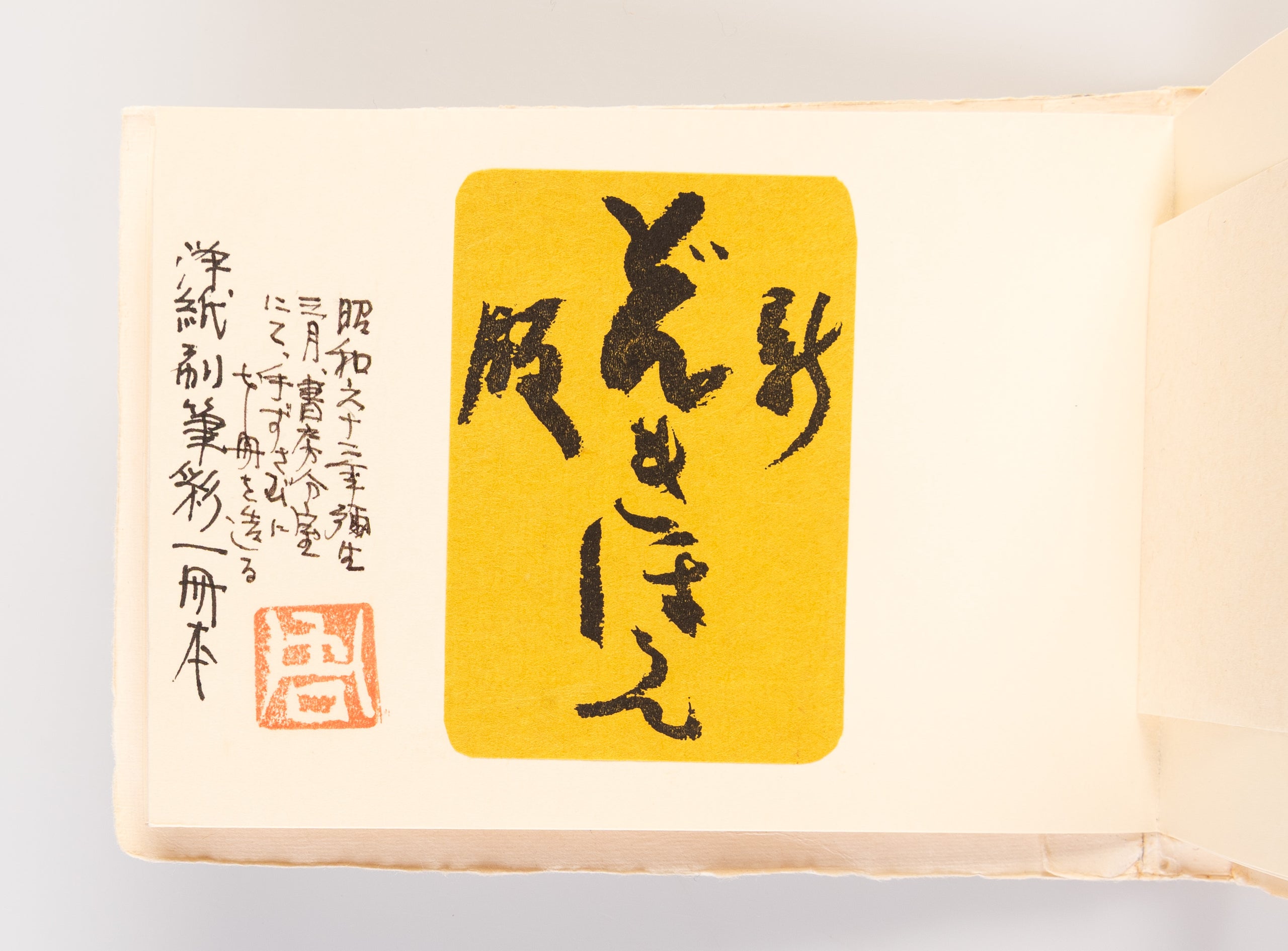 Shinpan ehon don kihote zen sanju-ichi zu • shuku-satsu yogami-han [New edition: Picture Book of Don Quixote with all 31 plates • shrunken edition printed on Western paper]