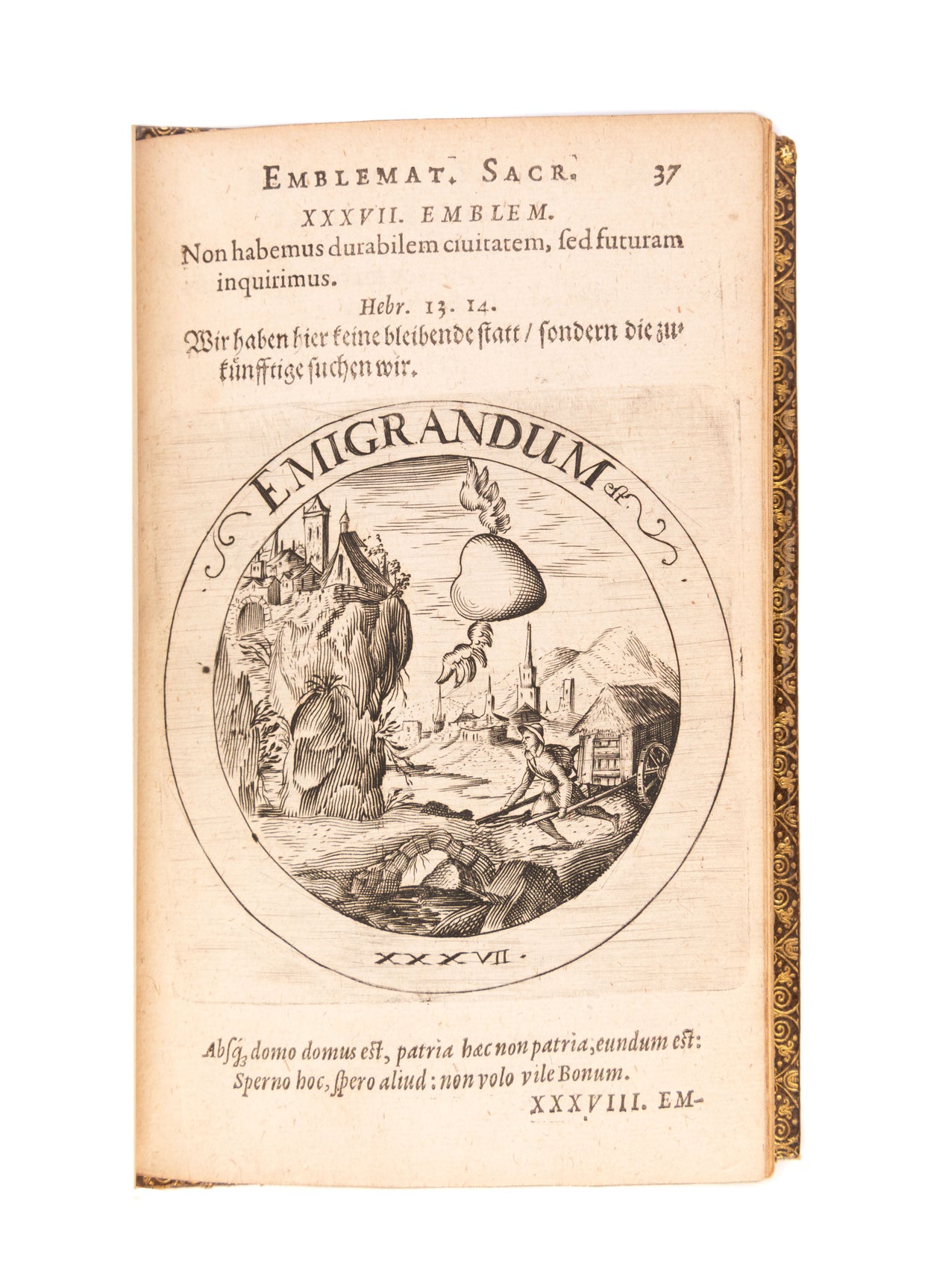 Societas Jesu et Roseae crucis vera hoc est,