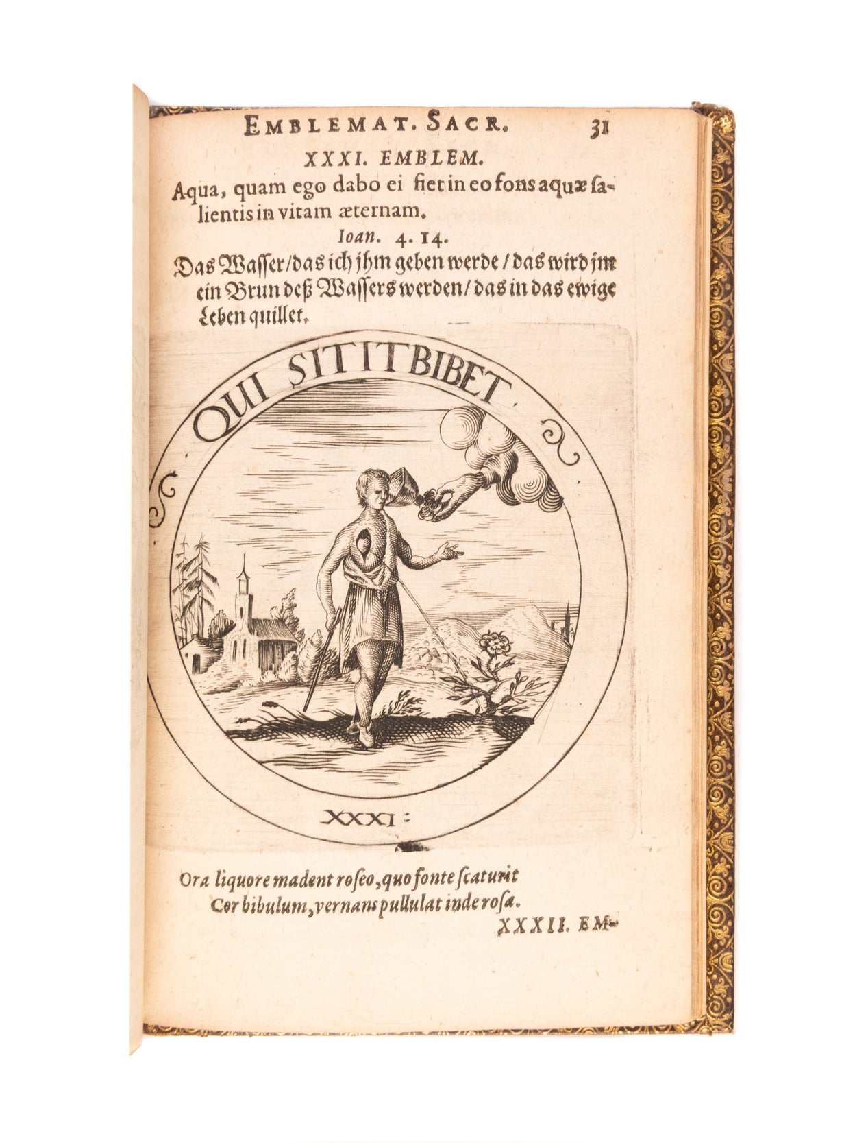 Societas Jesu et Roseae crucis vera hoc est,