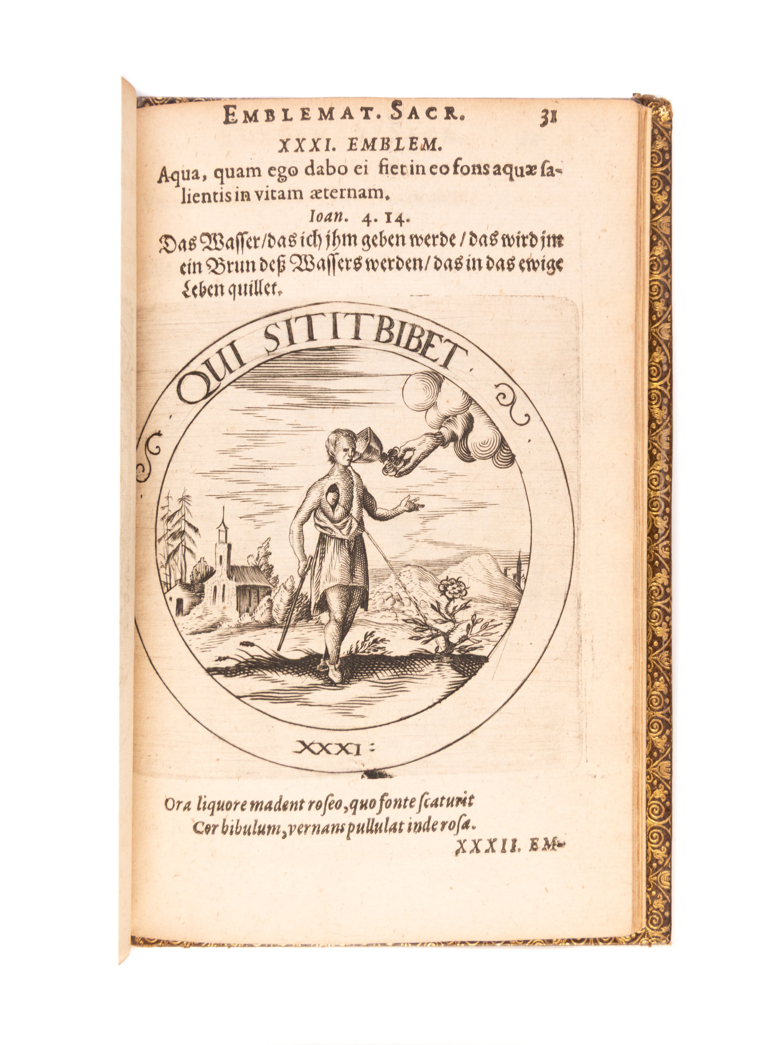 Societas Jesu et Roseae crucis vera hoc est,