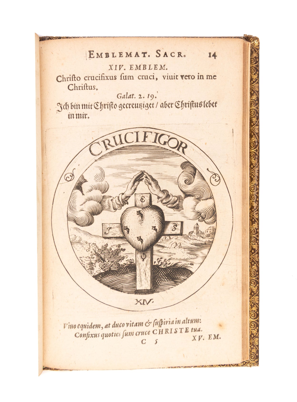 Societas Jesu et Roseae crucis vera hoc est,