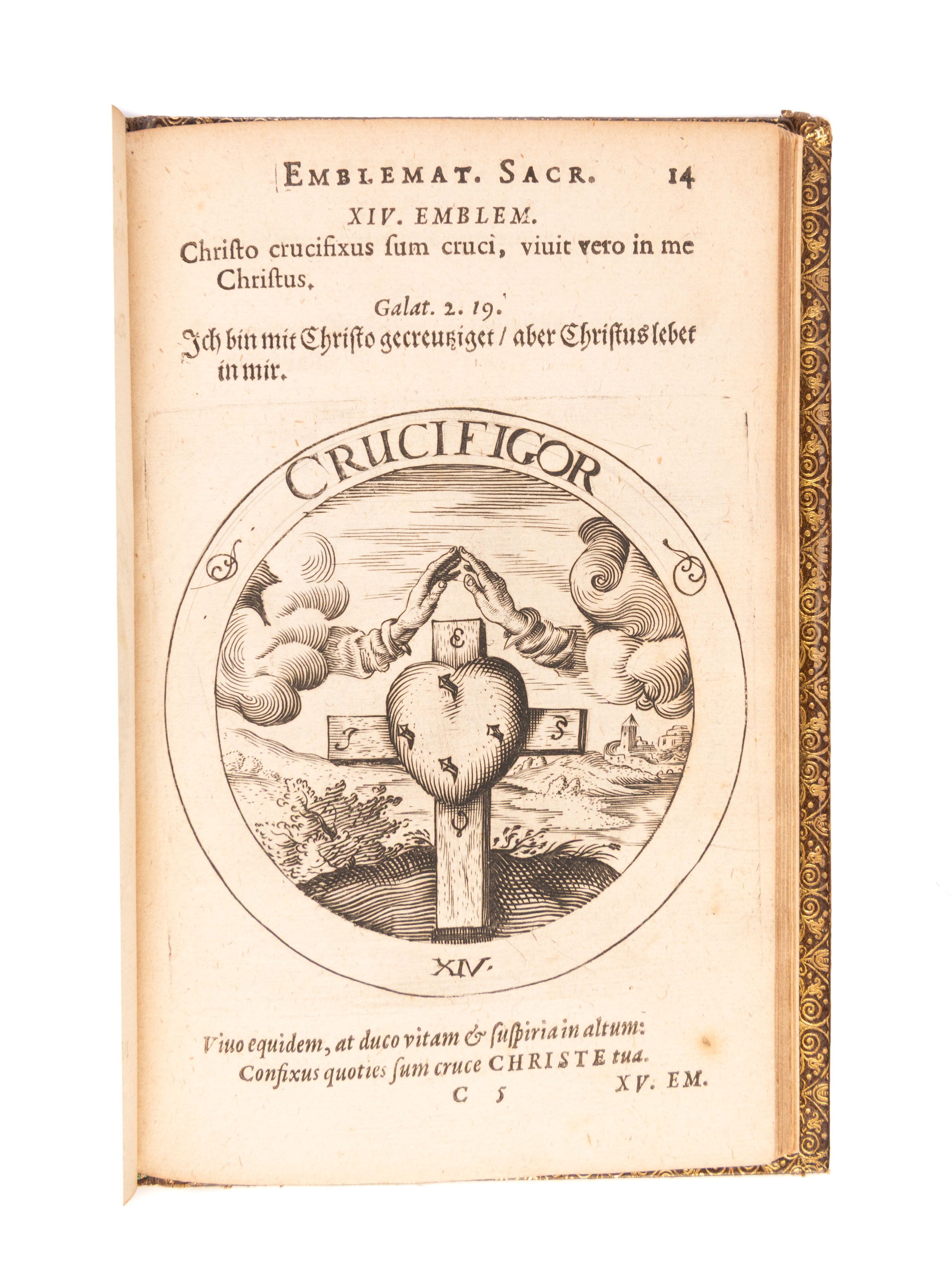 Societas Jesu et Roseae crucis vera hoc est,