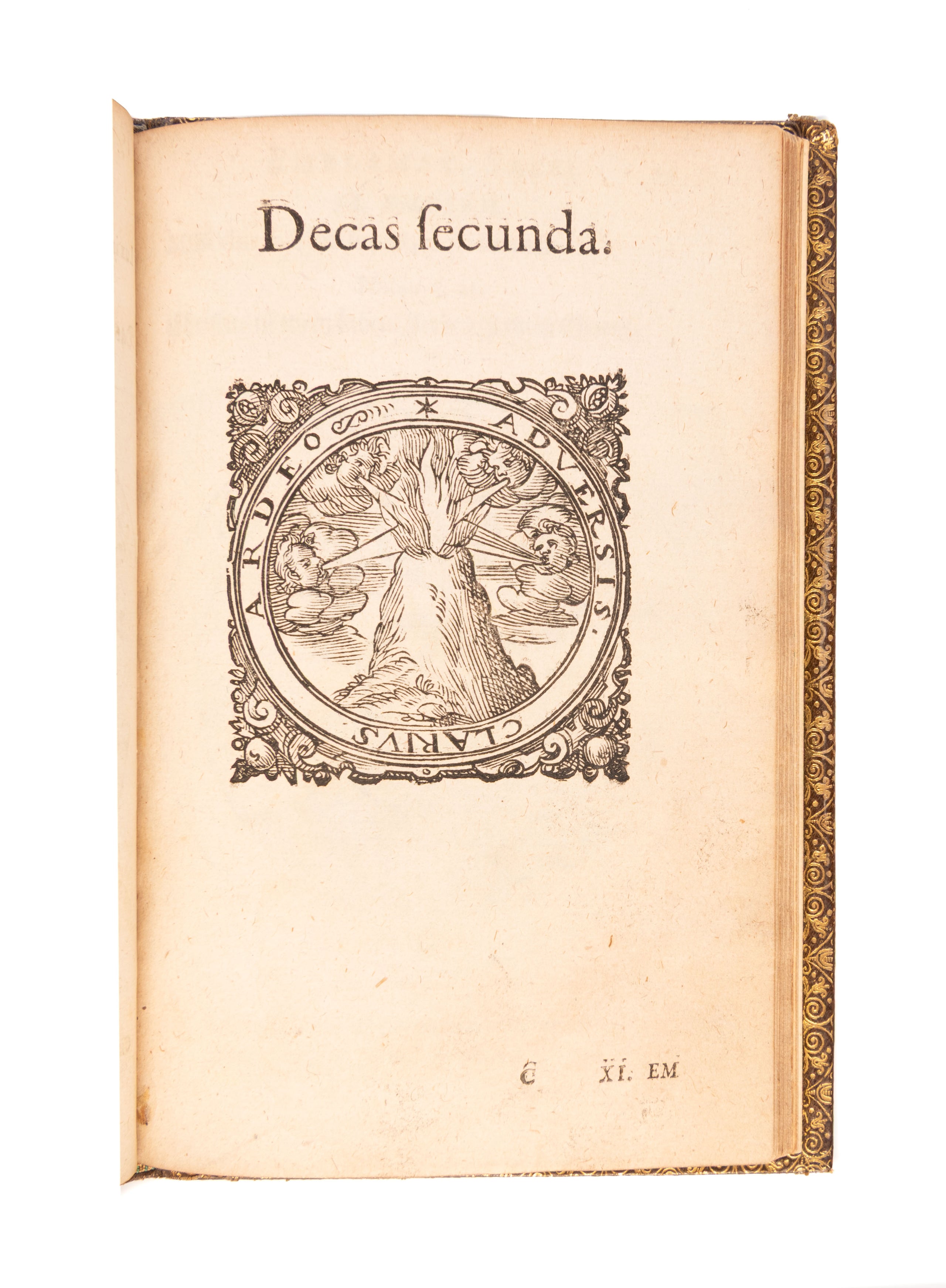 Societas Jesu et Roseae crucis vera hoc est,