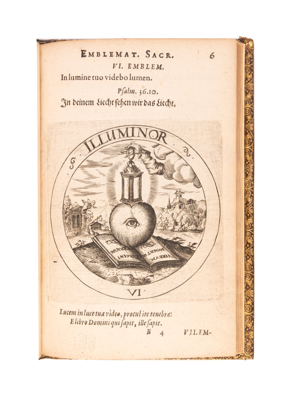 Societas Jesu et Roseae crucis vera hoc est,