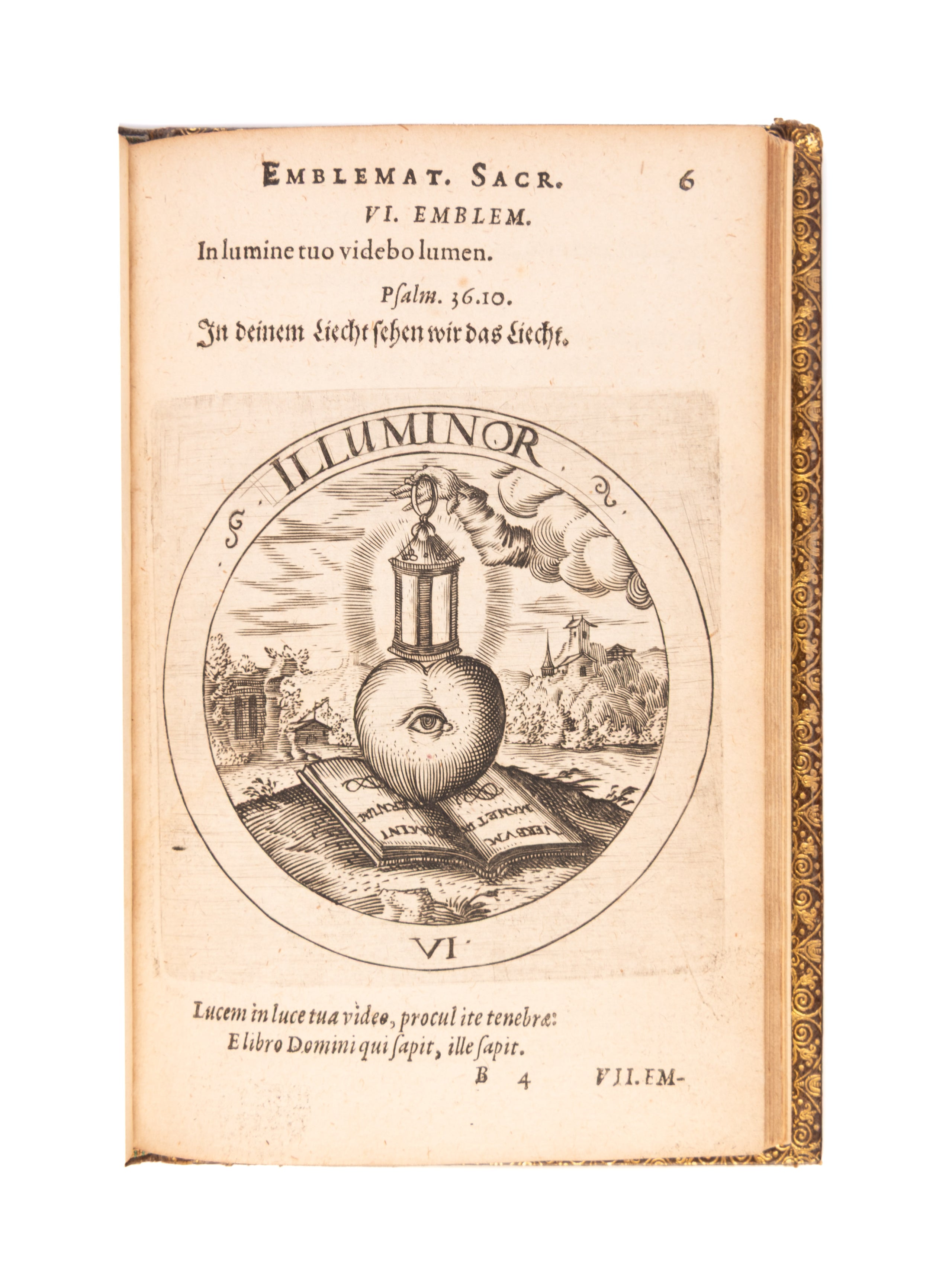 Societas Jesu et Roseae crucis vera hoc est,