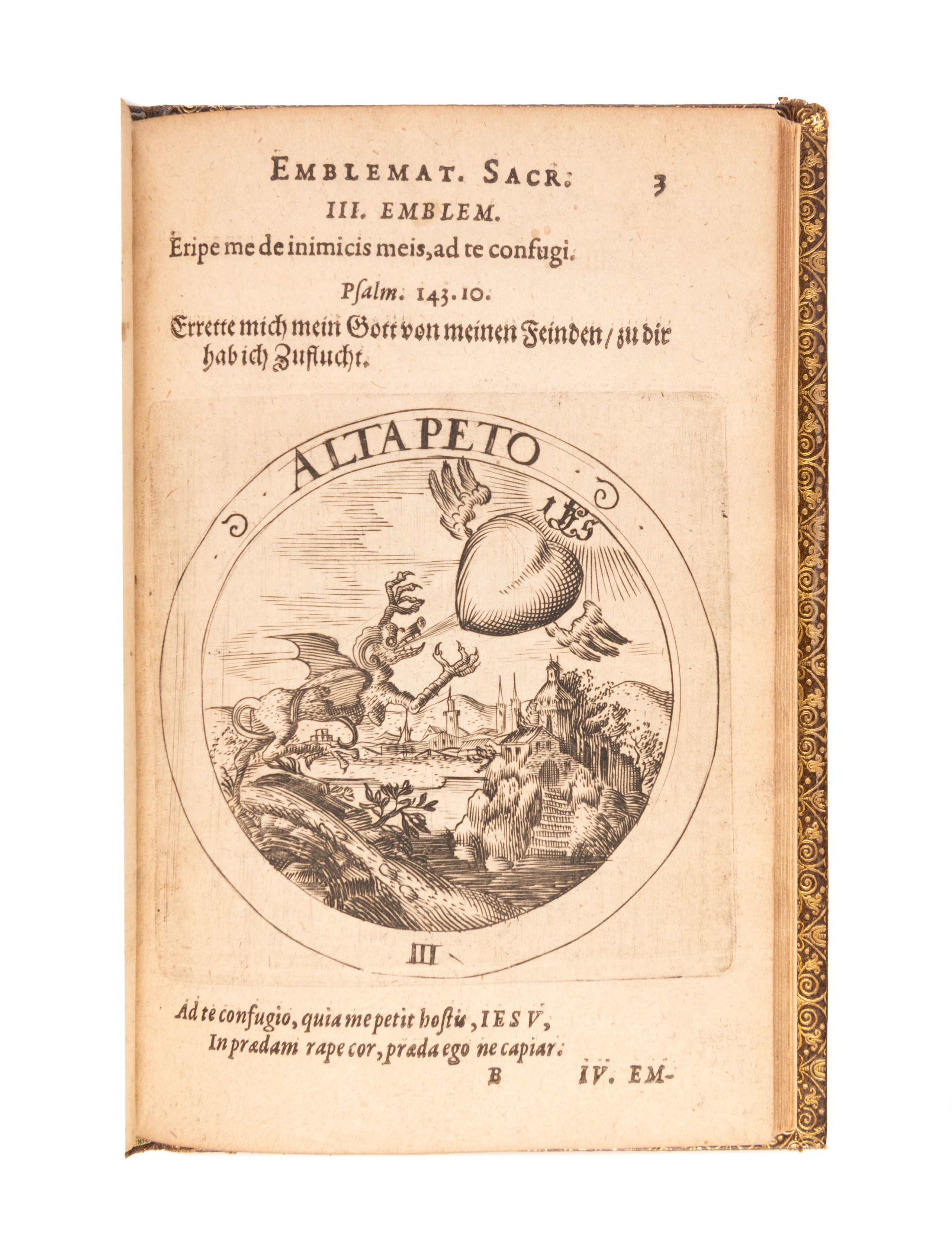 Societas Jesu et Roseae crucis vera hoc est,