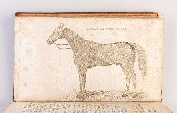 The Gentleman's new Pocket Farrier comprising a general Description of the noble and useful Animal the Horse, together with the quickest and simplest Mode of Fattening, necessary Treatment while undergoing excessive Fatigue, or on a Journey … also a conci