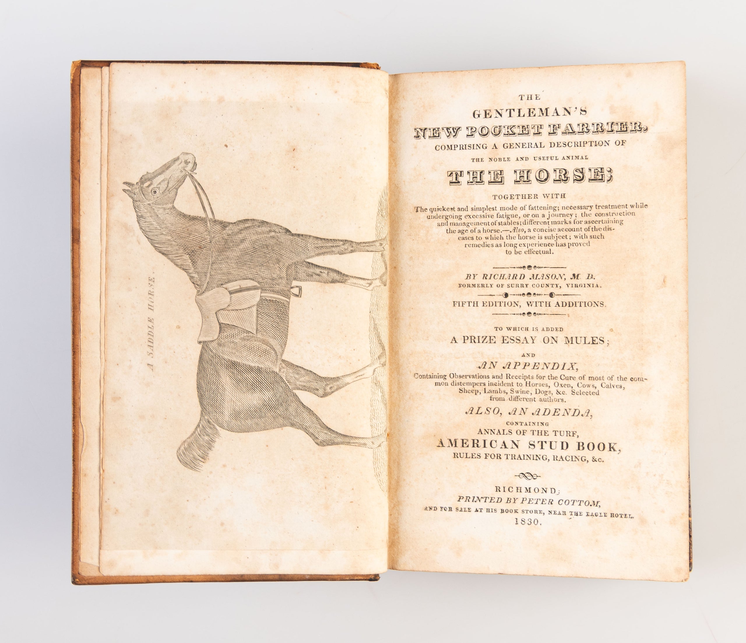 The Gentleman's new Pocket Farrier comprising a general Description of the noble and useful Animal the Horse, together with the quickest and simplest Mode of Fattening, necessary Treatment while undergoing excessive Fatigue, or on a Journey … also a conci