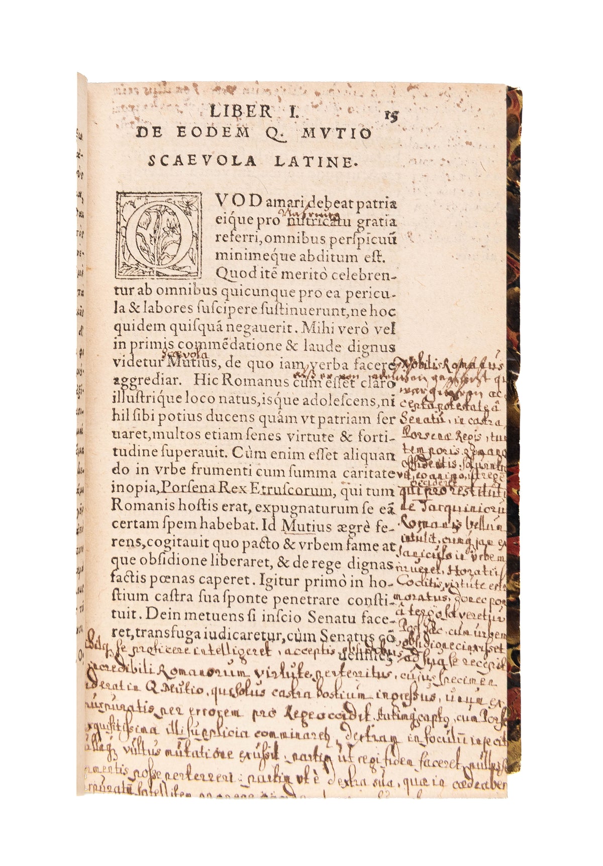 Orationes, Dialogi, Epistolae, Carmina, tam Latina quam Graeca.