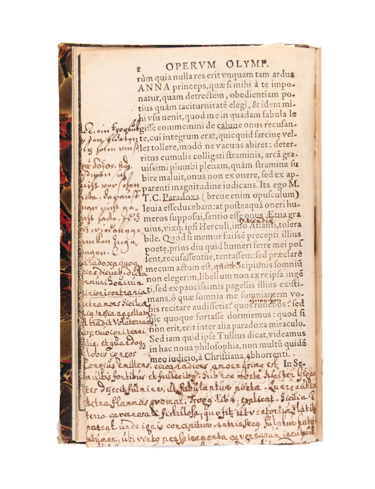 Orationes, Dialogi, Epistolae, Carmina, tam Latina quam Graeca.