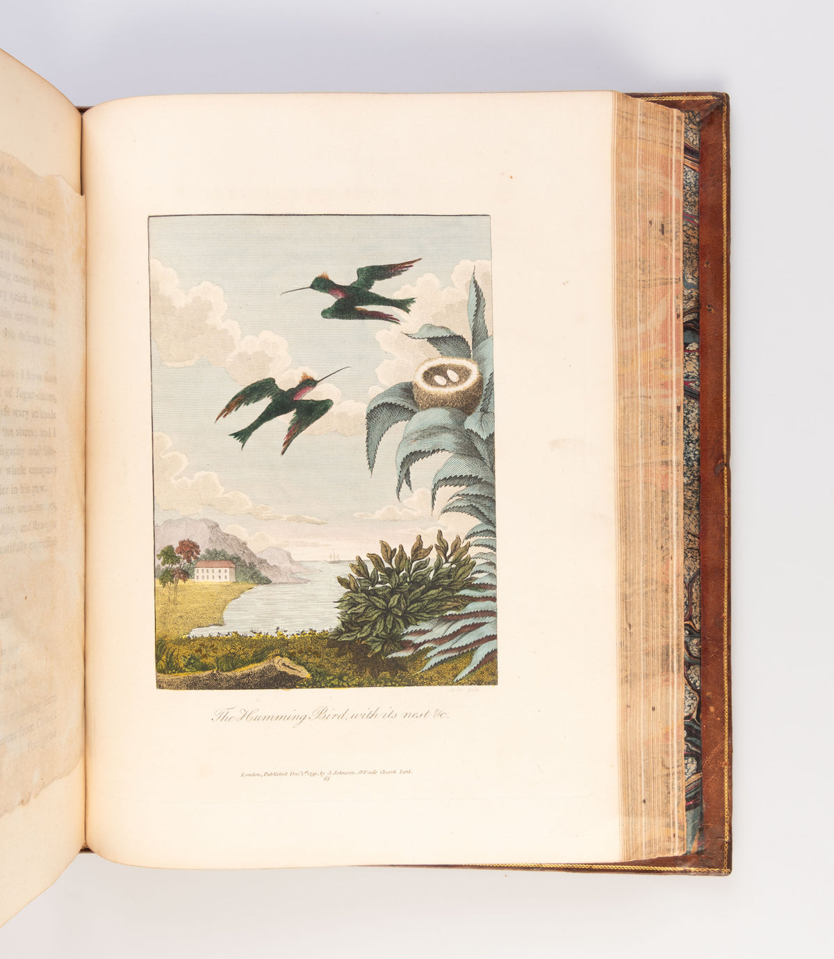 Narrative of a Five Years' Expedition Against the Revolted Negroes of Surinam, in Guiana on the Wild Coast of South America; from the year 1772 to 1777: